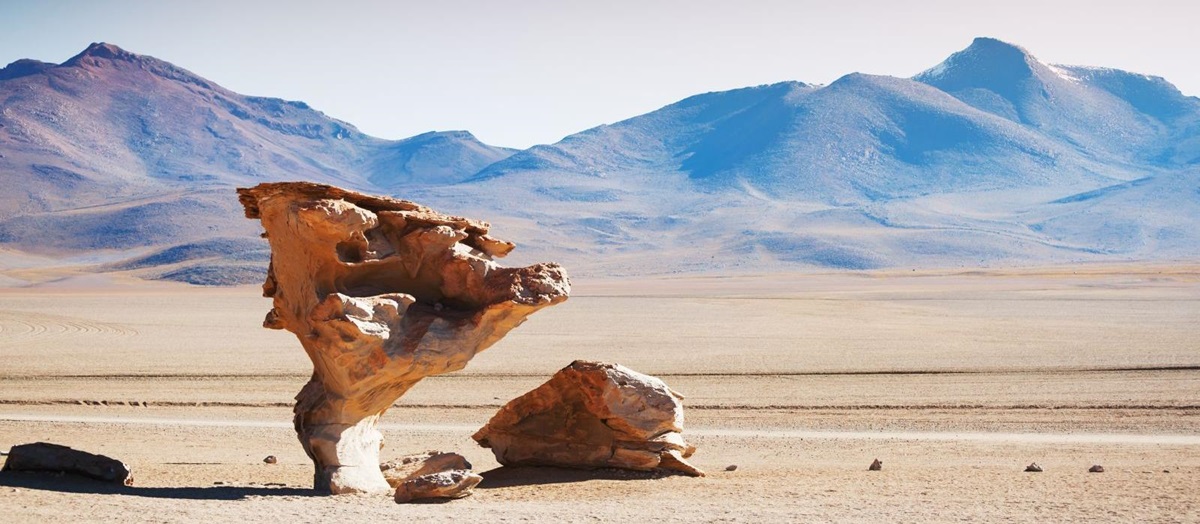 A stone tree rock formation in the Eduardo Avaroa Andean Fauna National Reserve of Sur Lípez Province, Bolivia