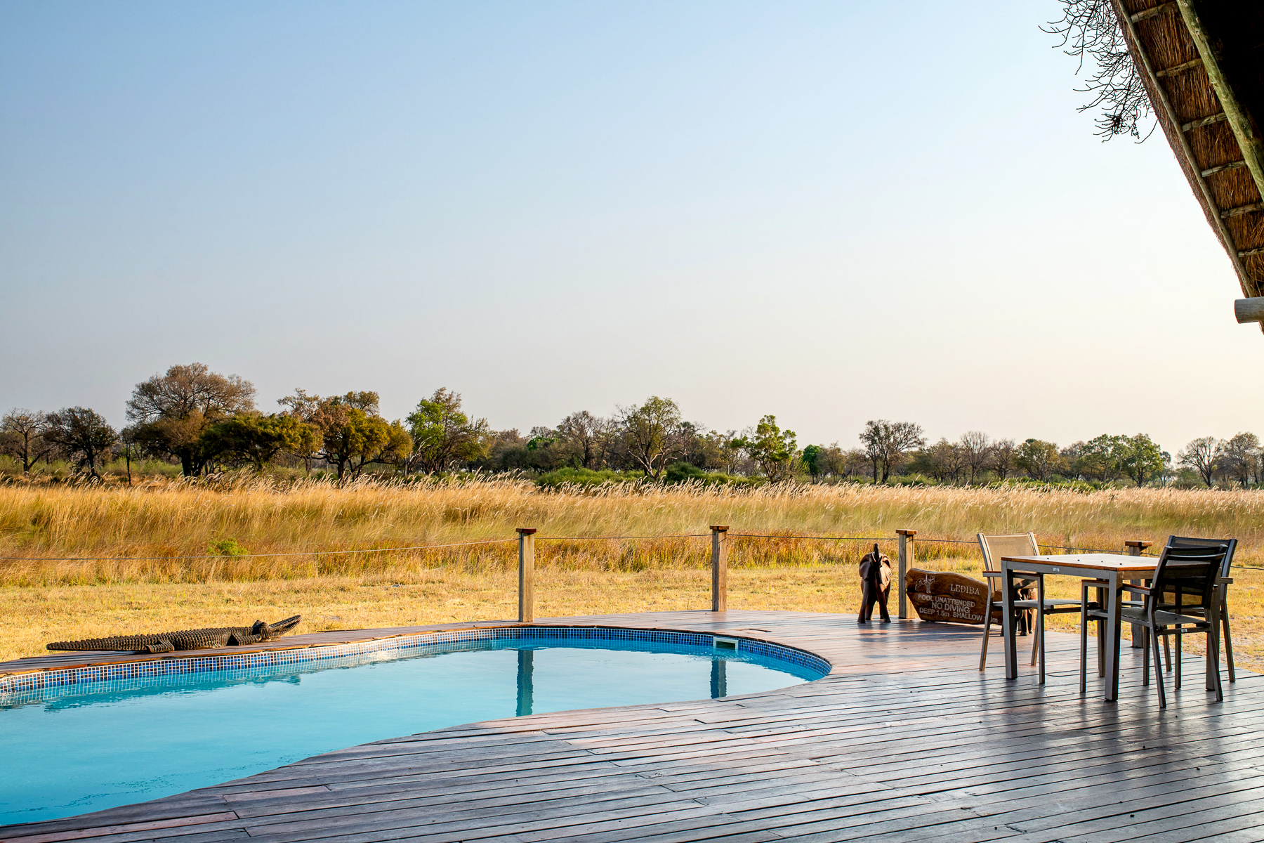 Swimming pool at Chitabe Lediba camp in the Okavango Delta