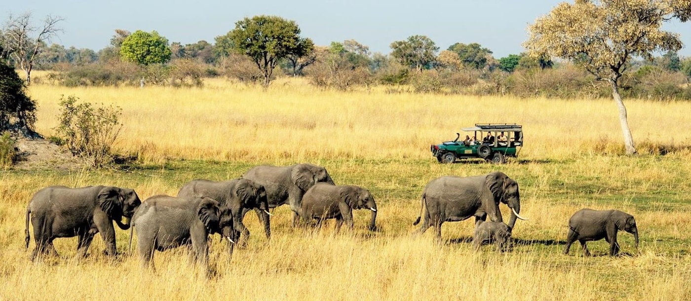 Game drive in search of elephants at Duke's Camp on the Okavango Delta in Botswana