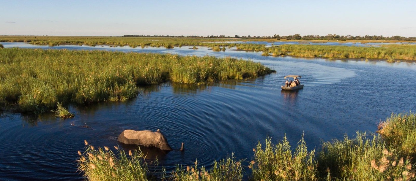 Boat Safari under blue skies in the Okavango viewing an elephant in the water 
