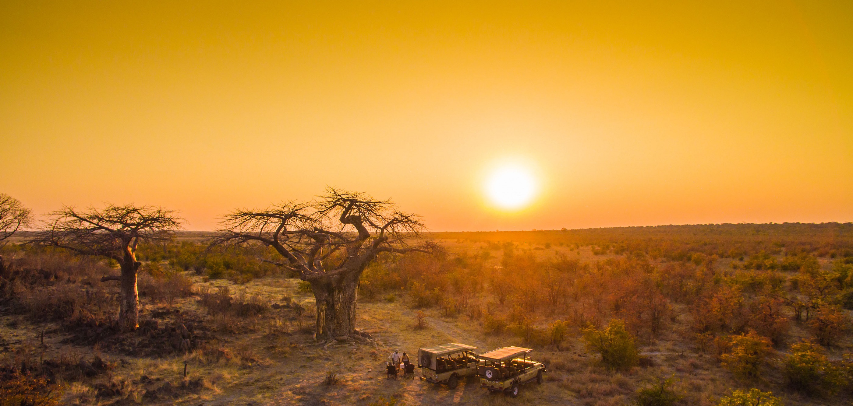 CLASSIC BOTSWANA SAFARI
