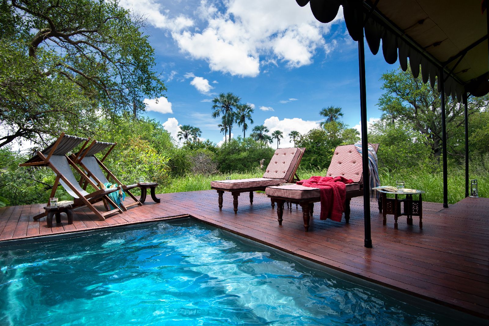 Guest plunge pool at Jacks Camp Botswana
