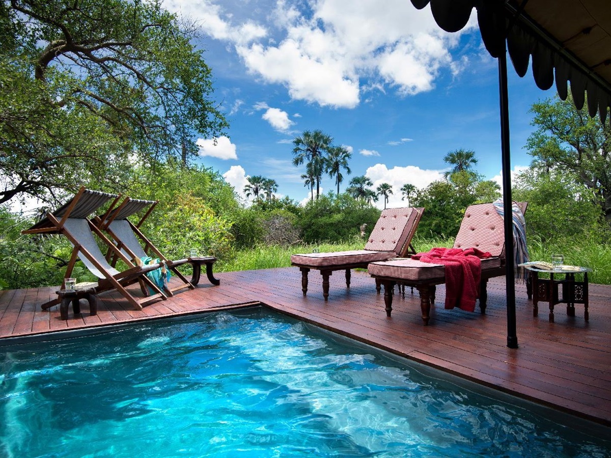Guest plunge pool at Jacks Camp Botswana