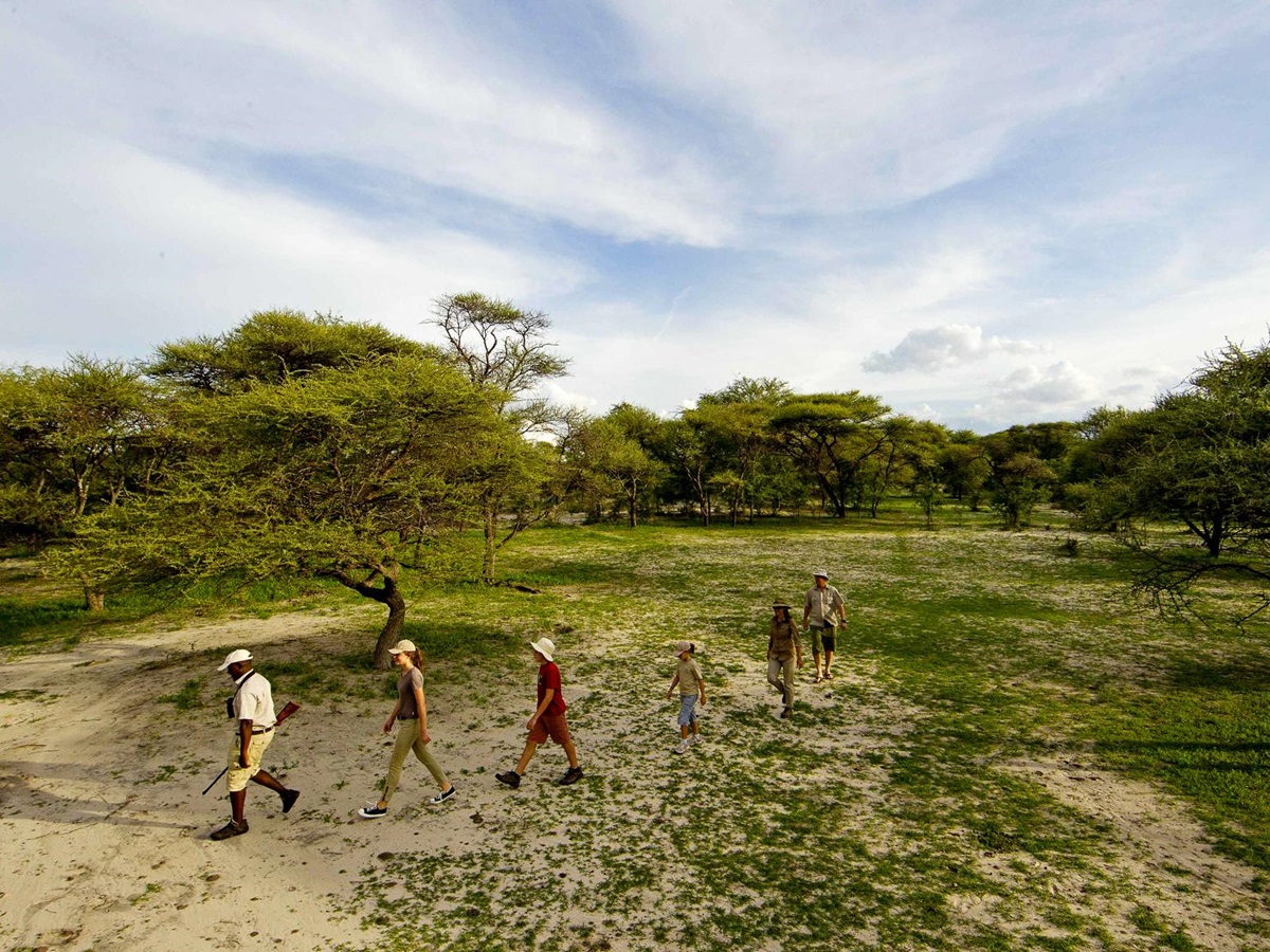 Bush walk at Kanana Camp in the Okavango Delta