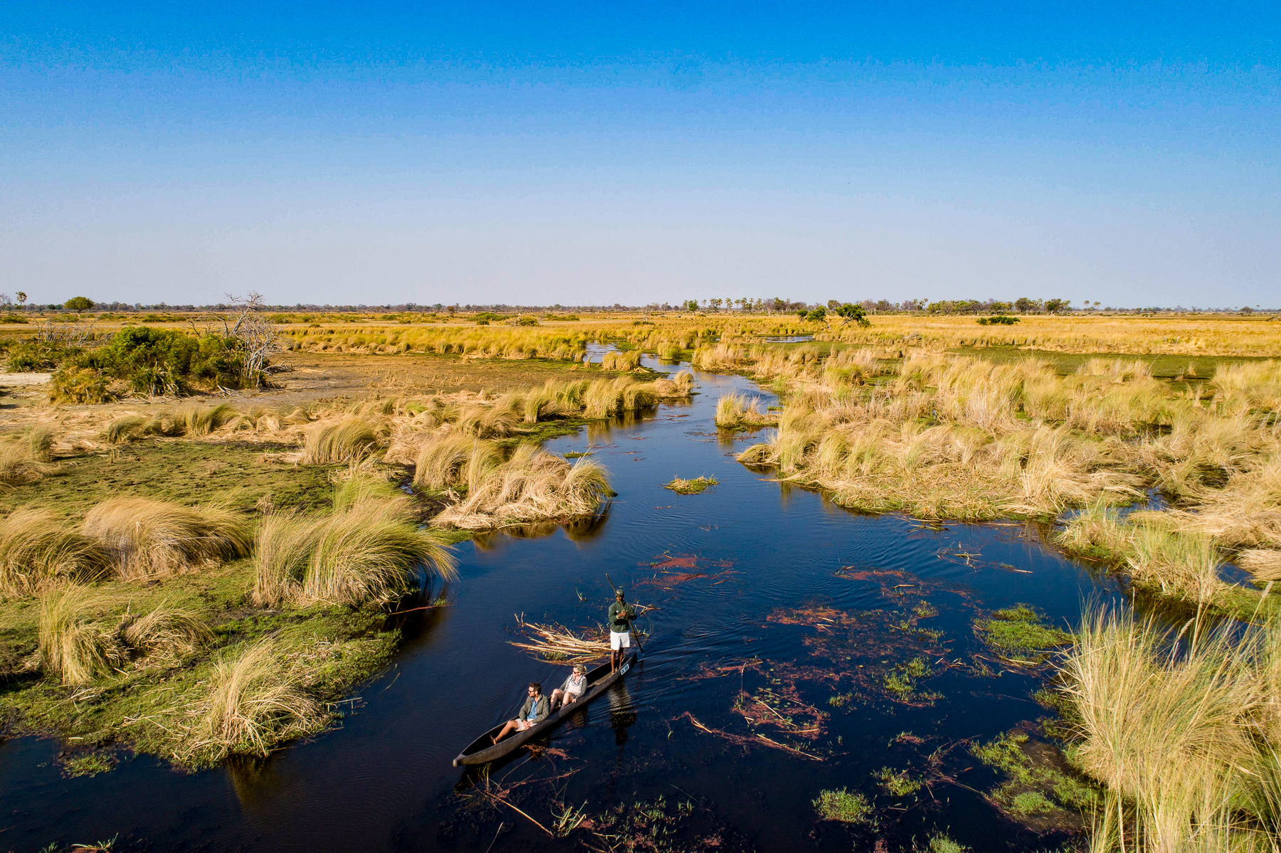 Mokoro cruise at Kanana Camp in the Okavango Delta