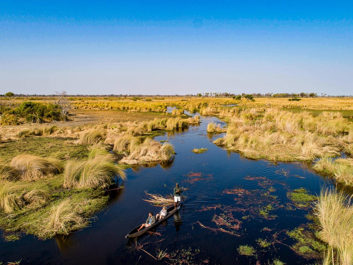 Mokoro cruise at Kanana Camp in the Okavango Delta