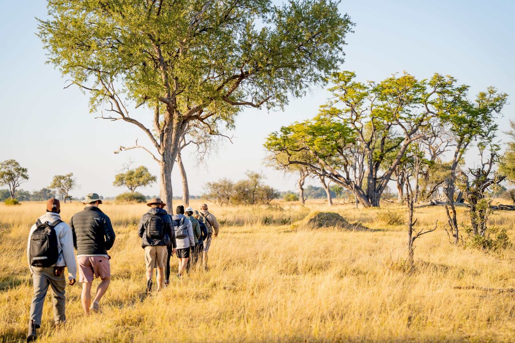 A walking safari through the Okavango Delta from Kwando 4 Rivers camp