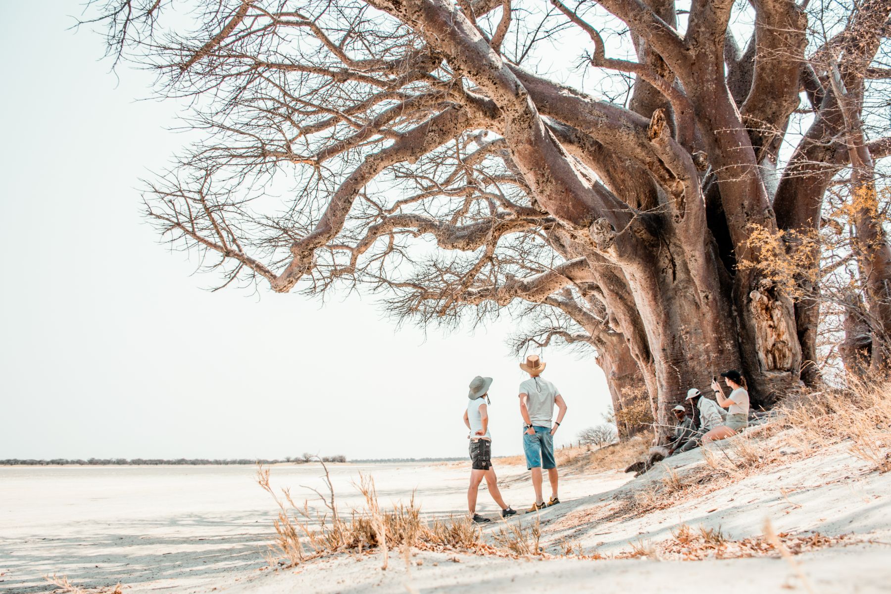 Guests of Kwando Nxai Pan marvelling at a towering Baobab tree in the Nxai Pan National Park