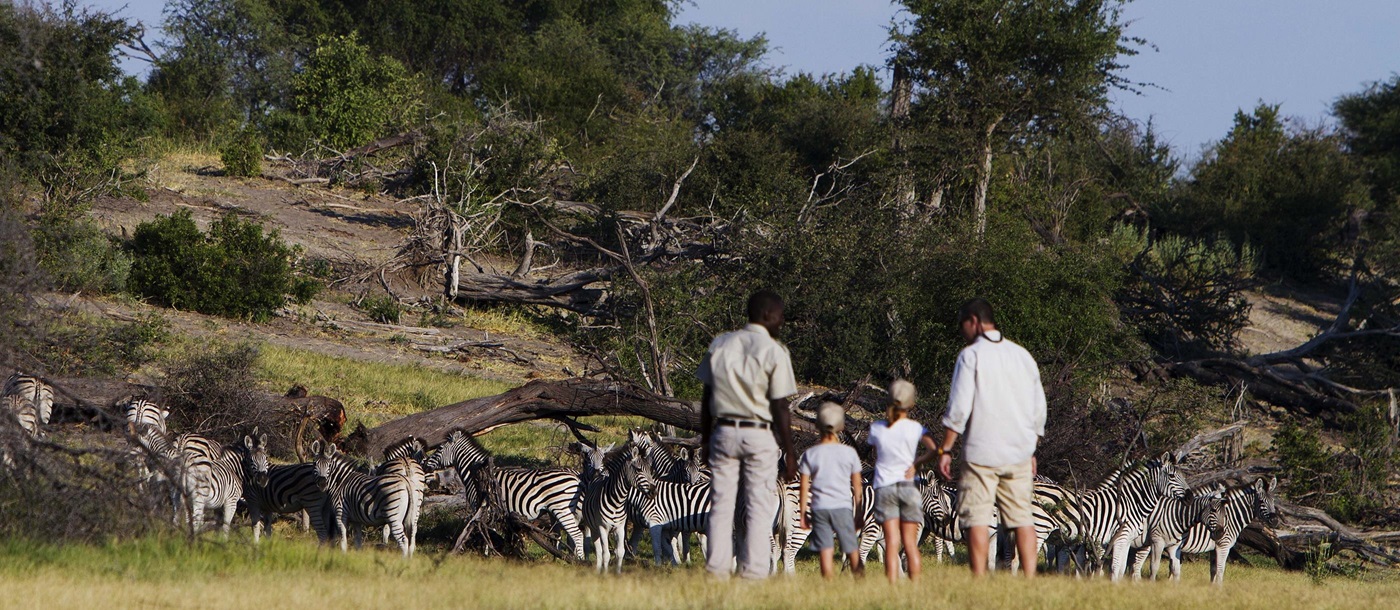 Zebras and guests at Leroo La Tau