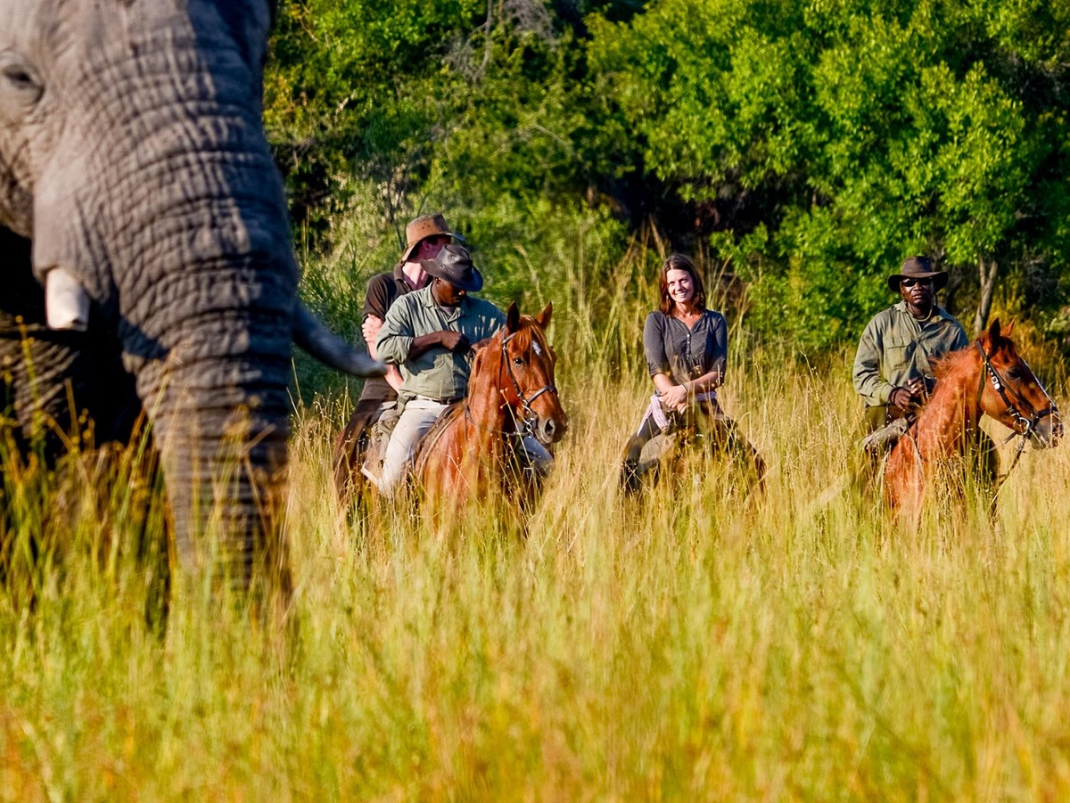 Elephants spotted during a riding safari in the Okavango Delta from Macatoo Camp