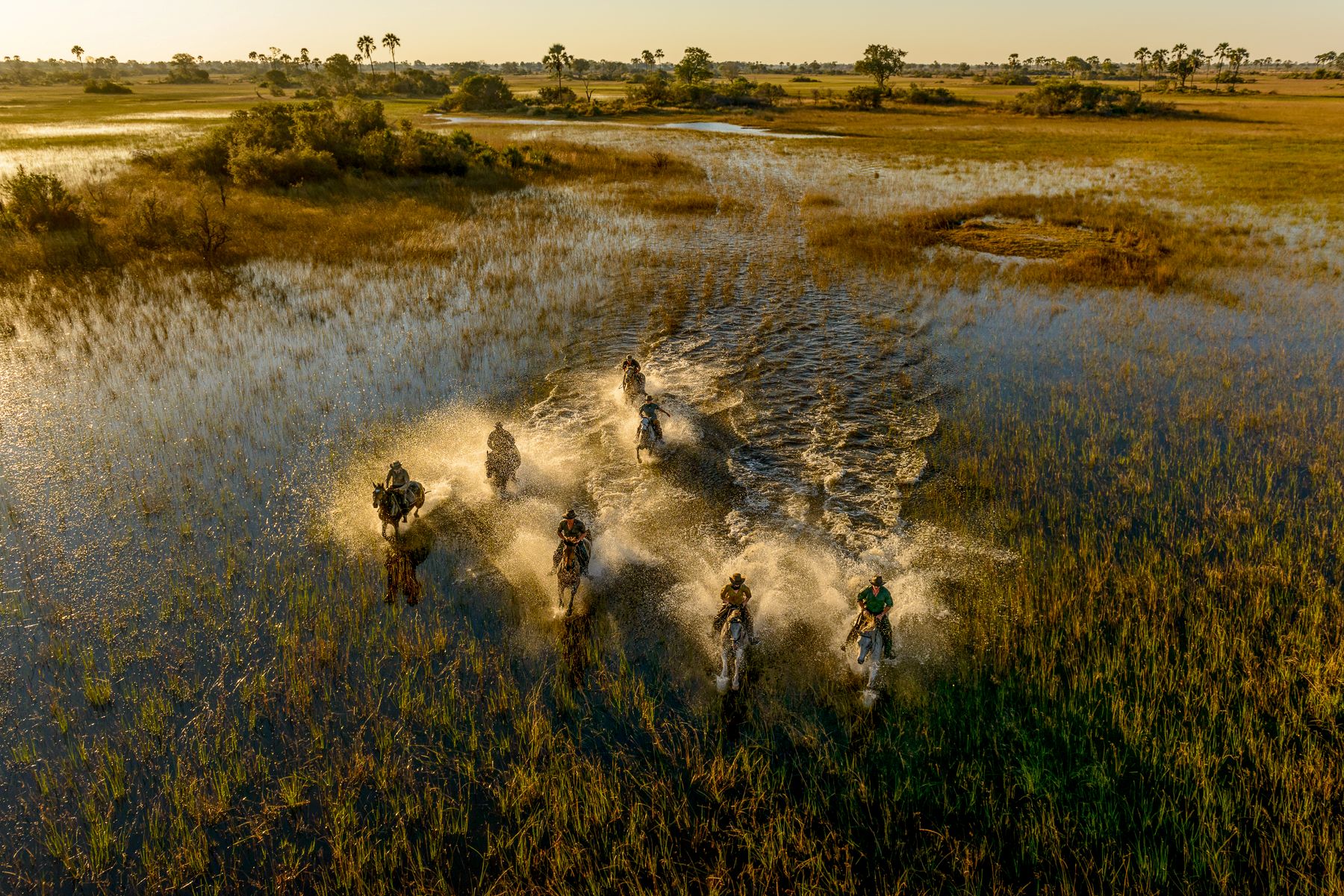 Aerial view of guests riding horses through the floodplains at Macatoo Camp in the Okavango Delta