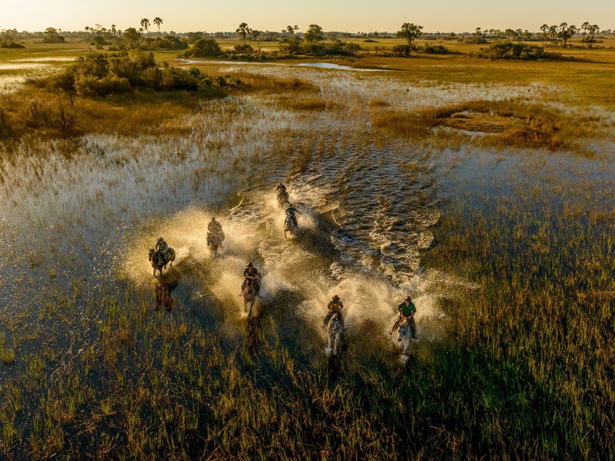 Aerial view of guests riding horses through the floodplains at Macatoo Camp in the Okavango Delta