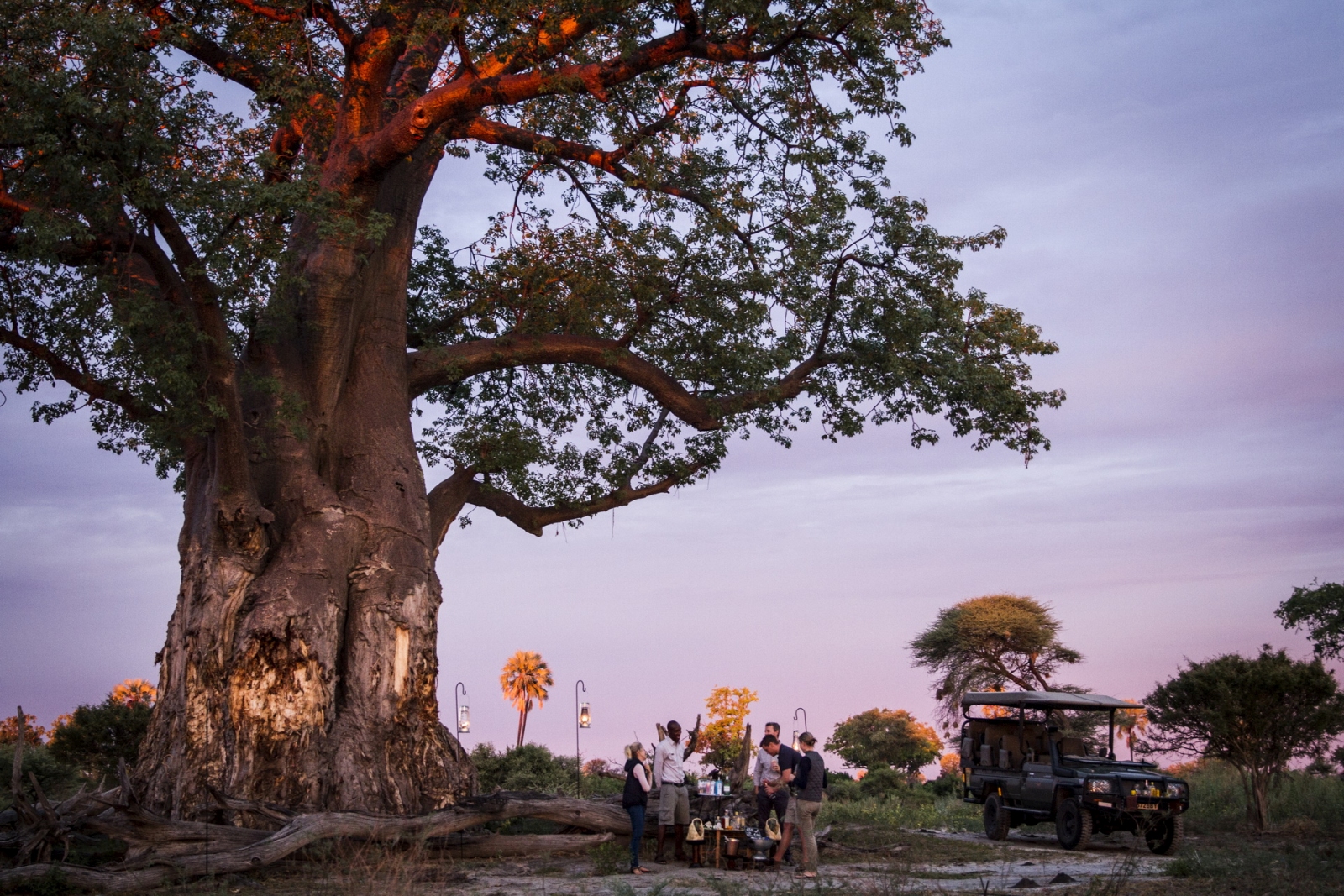 Sundowners under a big tree