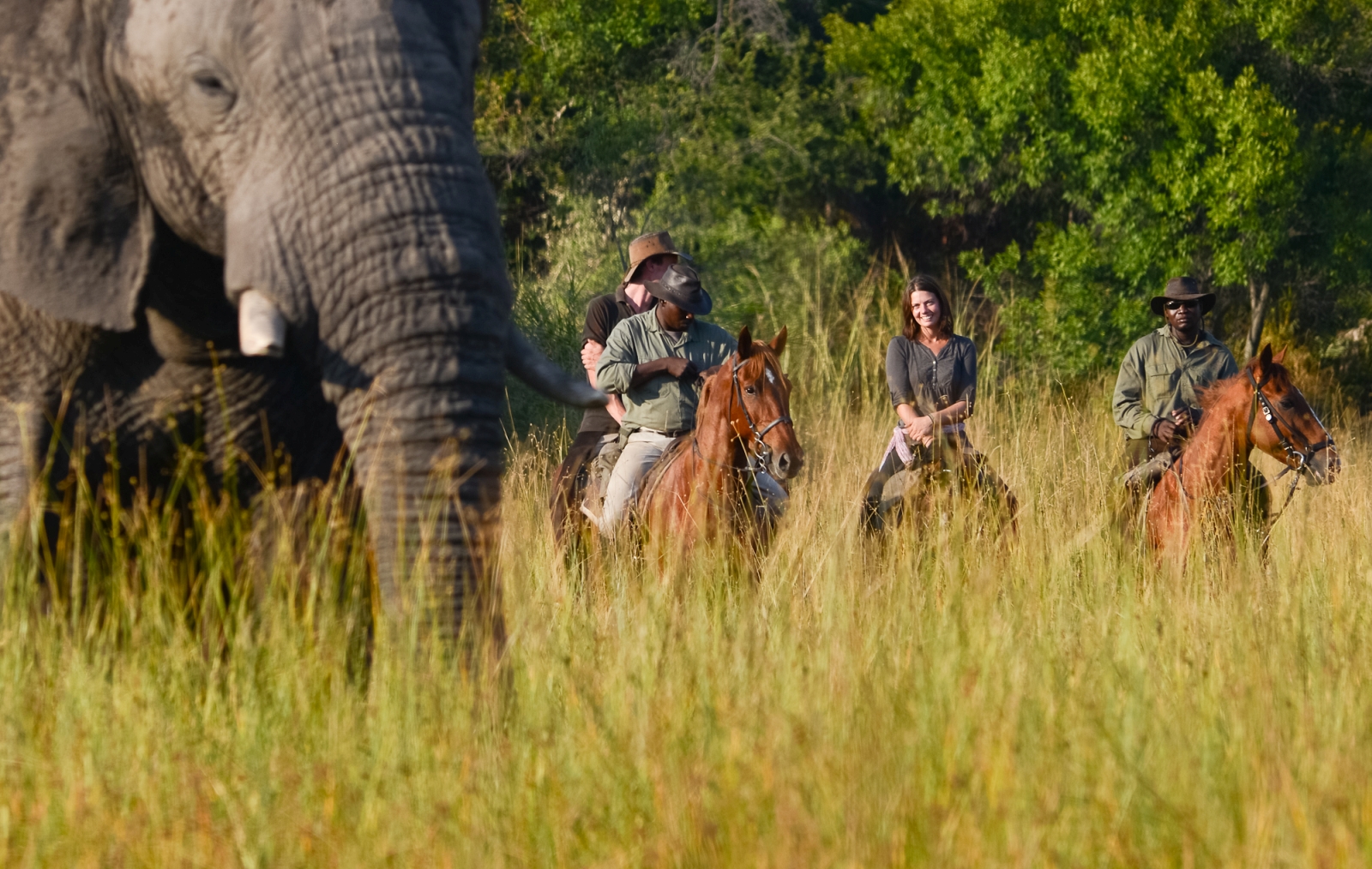 Three riders and an elephant