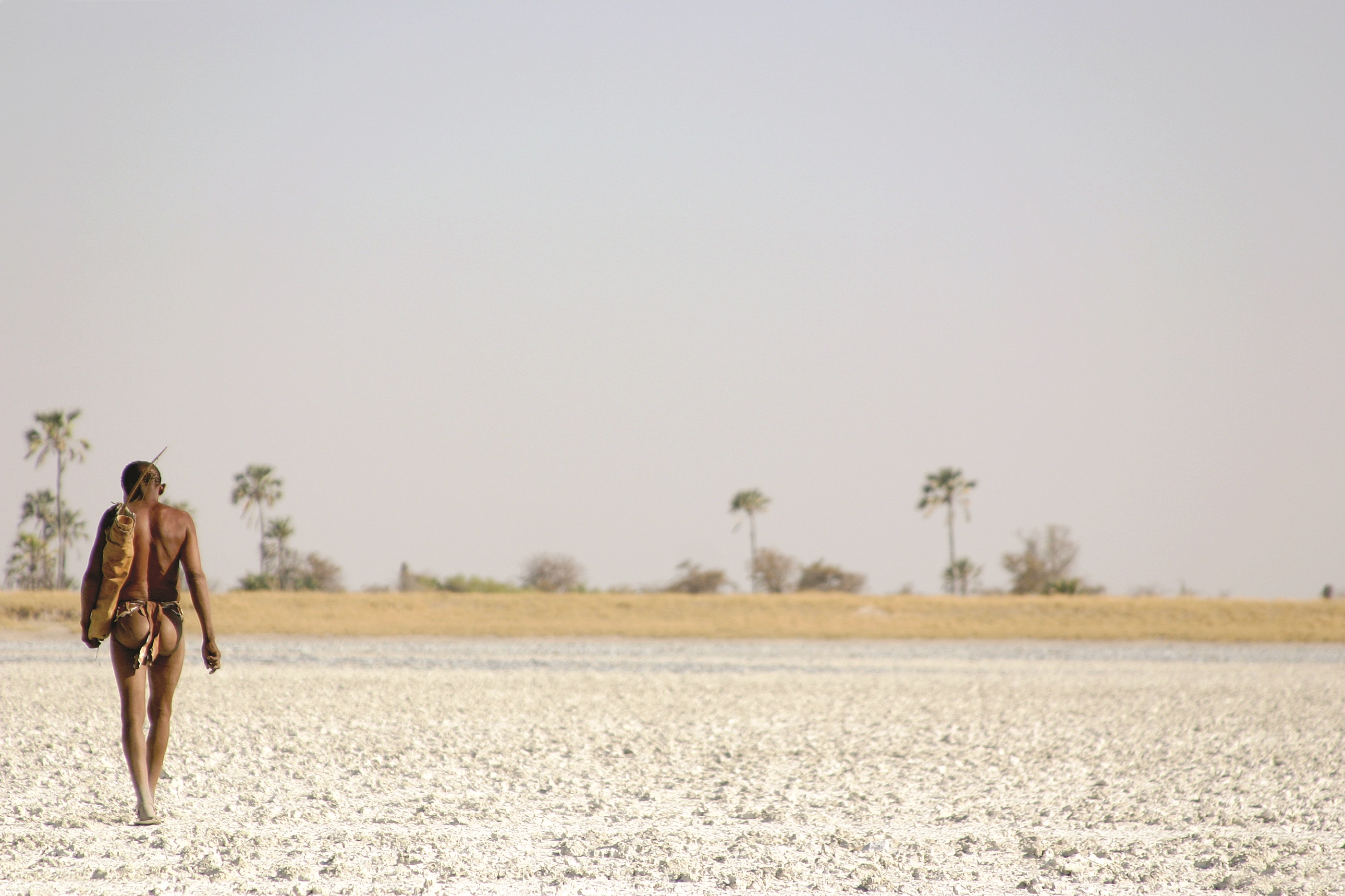 A bushman at San Camp