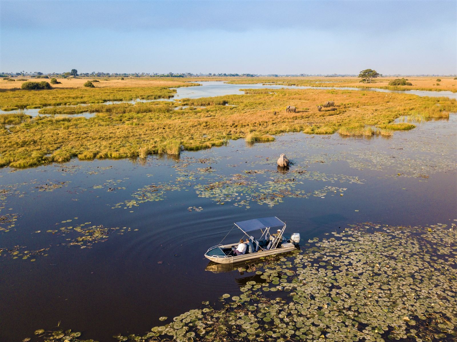 Elephants spotted on a river safari near Selinda Camp in the Selinda Reserve in Botswana