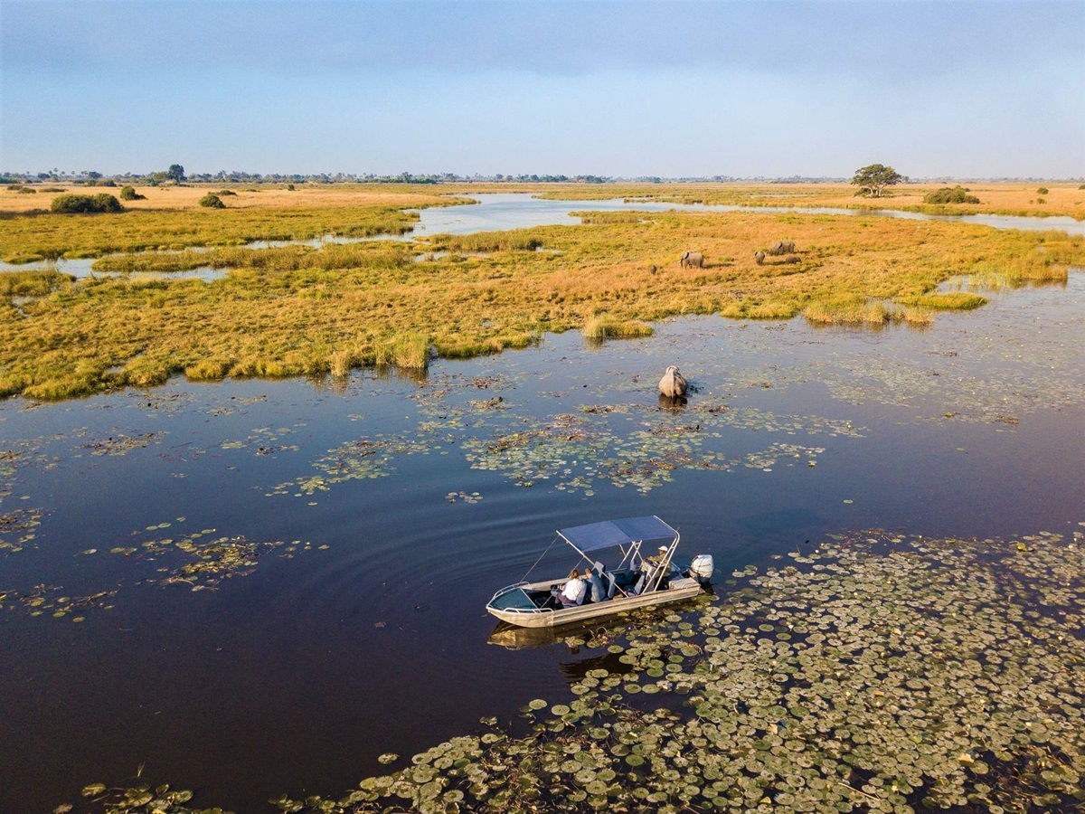 Elephants spotted on a river safari near Selinda Camp in the Selinda Reserve in Botswana
