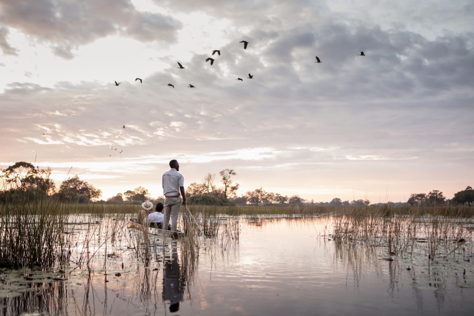 Birds flying over the grounds of Vumbura Plains in Botswana's Okavango Delta