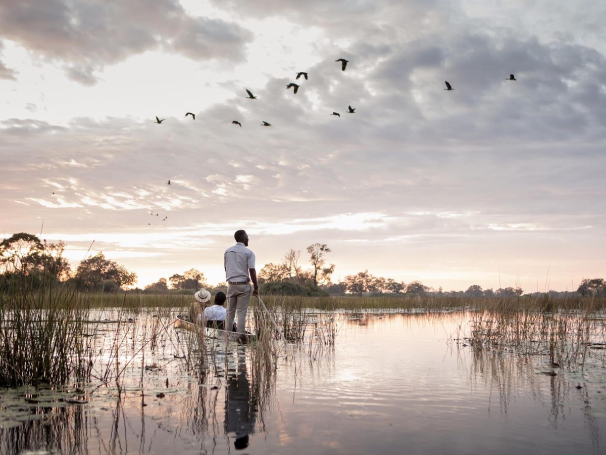 Birds flying over the grounds of Vumbura Plains in Botswana's Okavango Delta