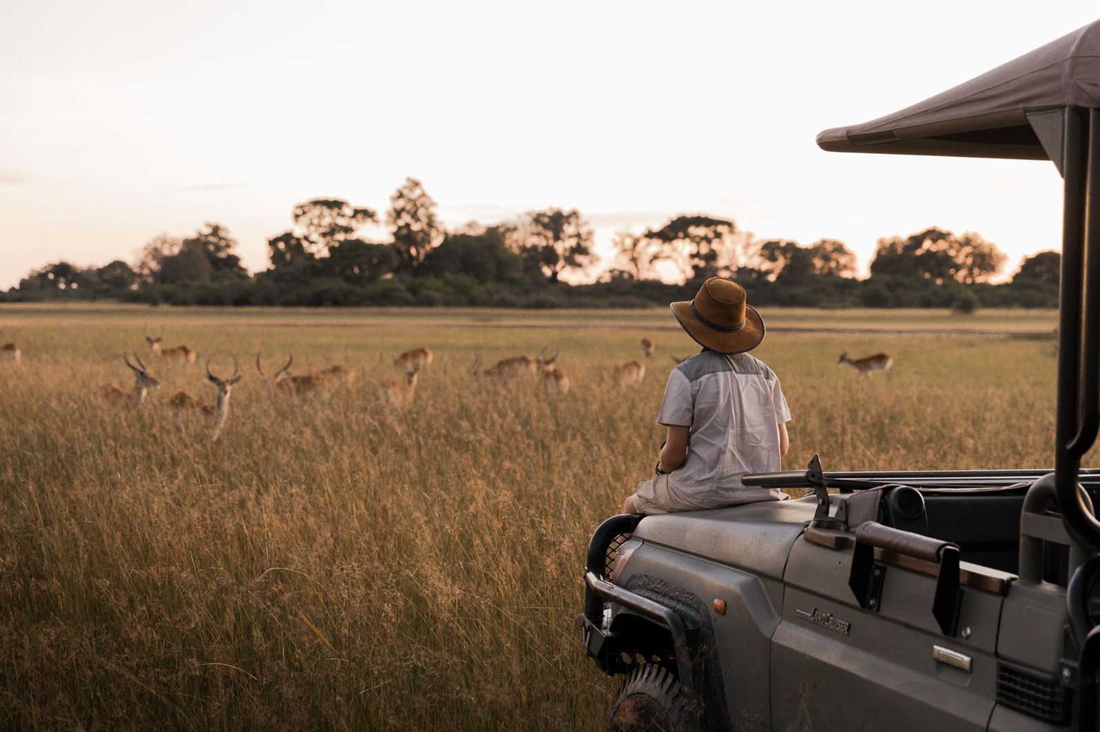 Game drive spotting gazelle from Vumbura Plains in Botswana's Okavango Delta