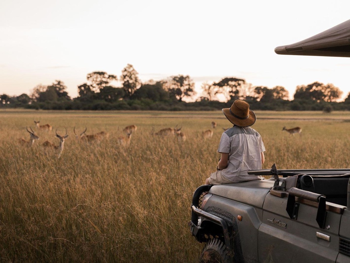 Game drive spotting gazelle from Vumbura Plains in Botswana's Okavango Delta