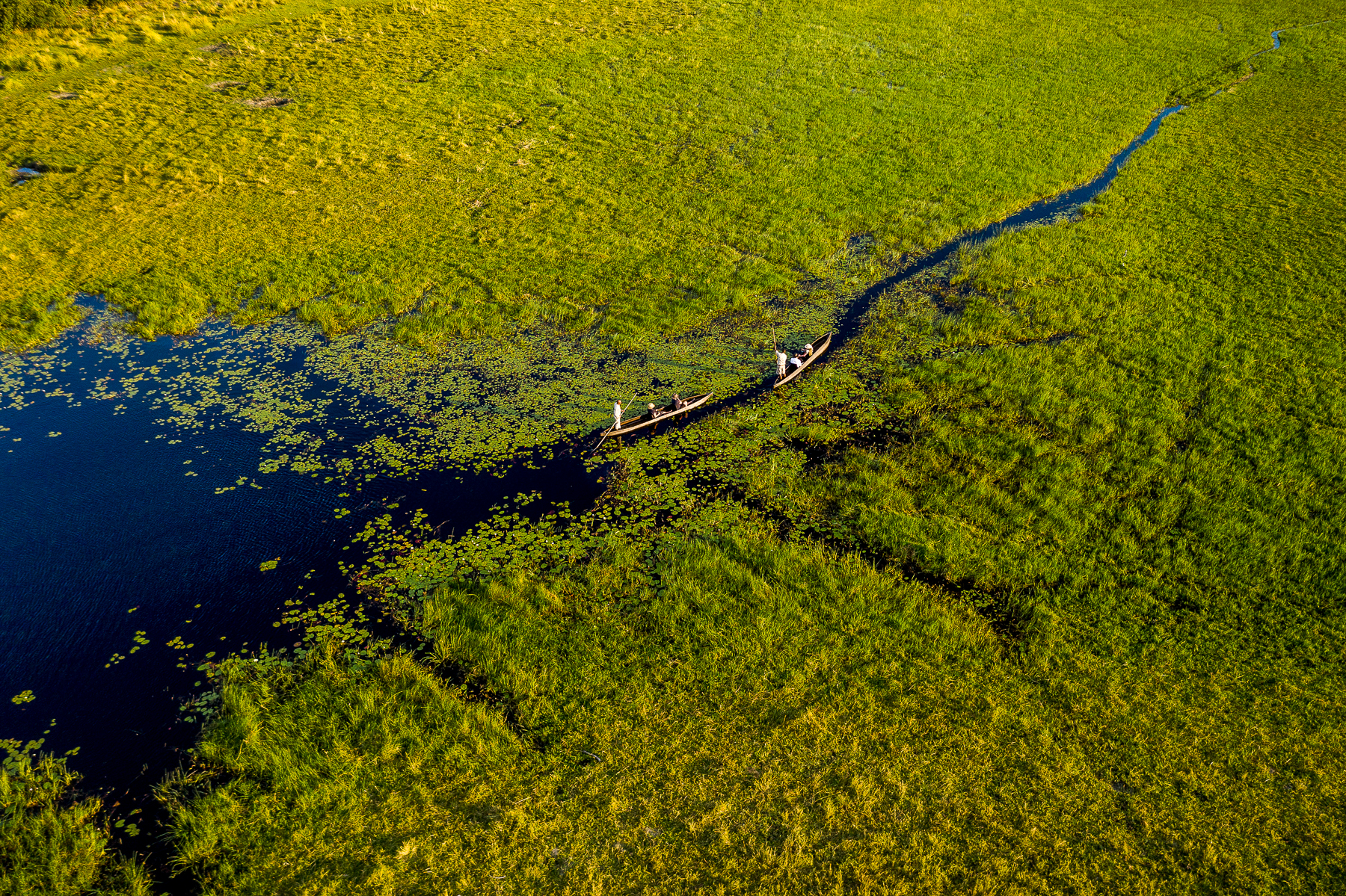Aerial view of a mokoro boat cruise from Xigera safari camp in the Okavango Delta
