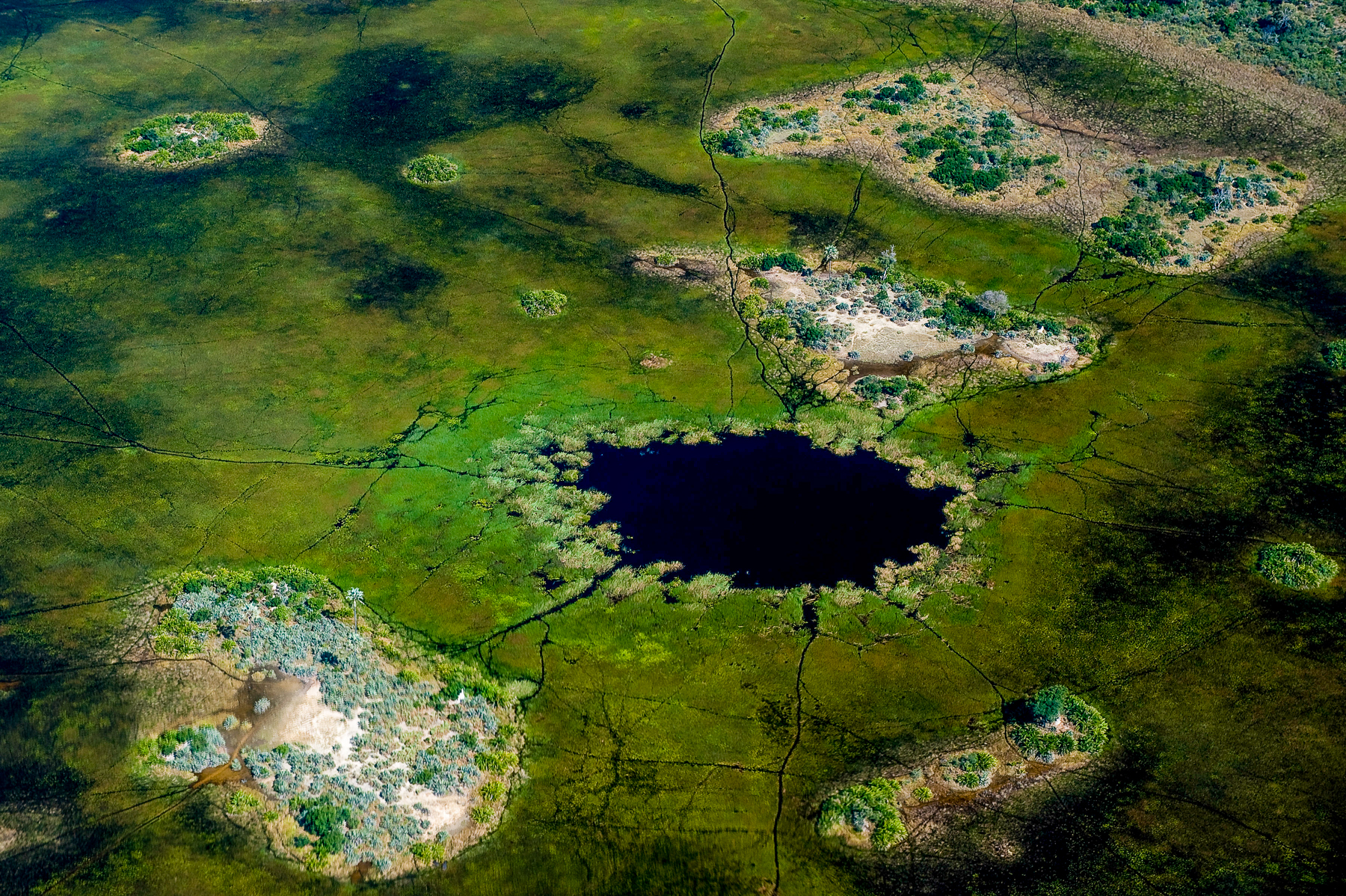 Aerial view of the Okavango Delta