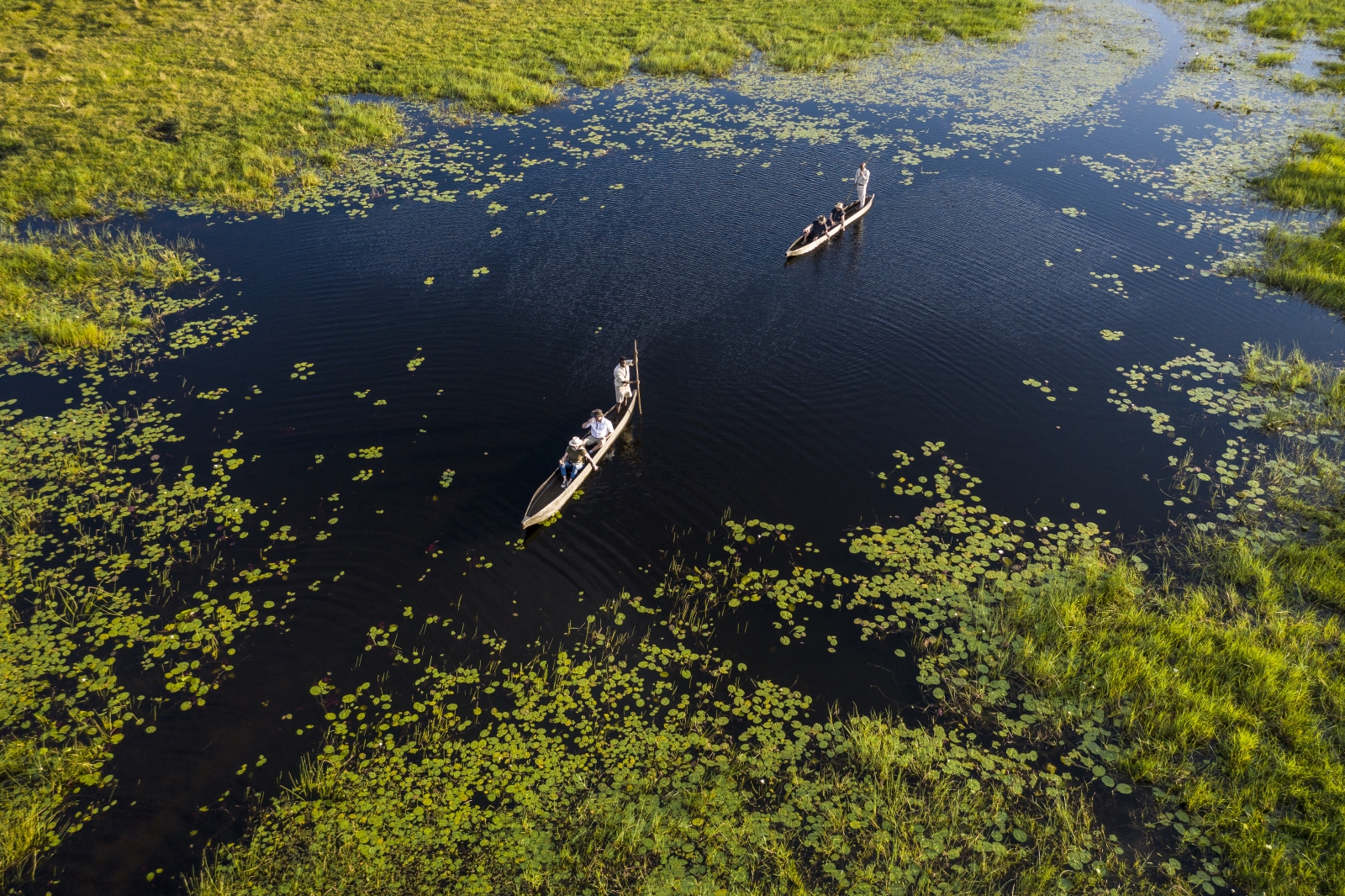 Mokoro safari in the Okavango Delta