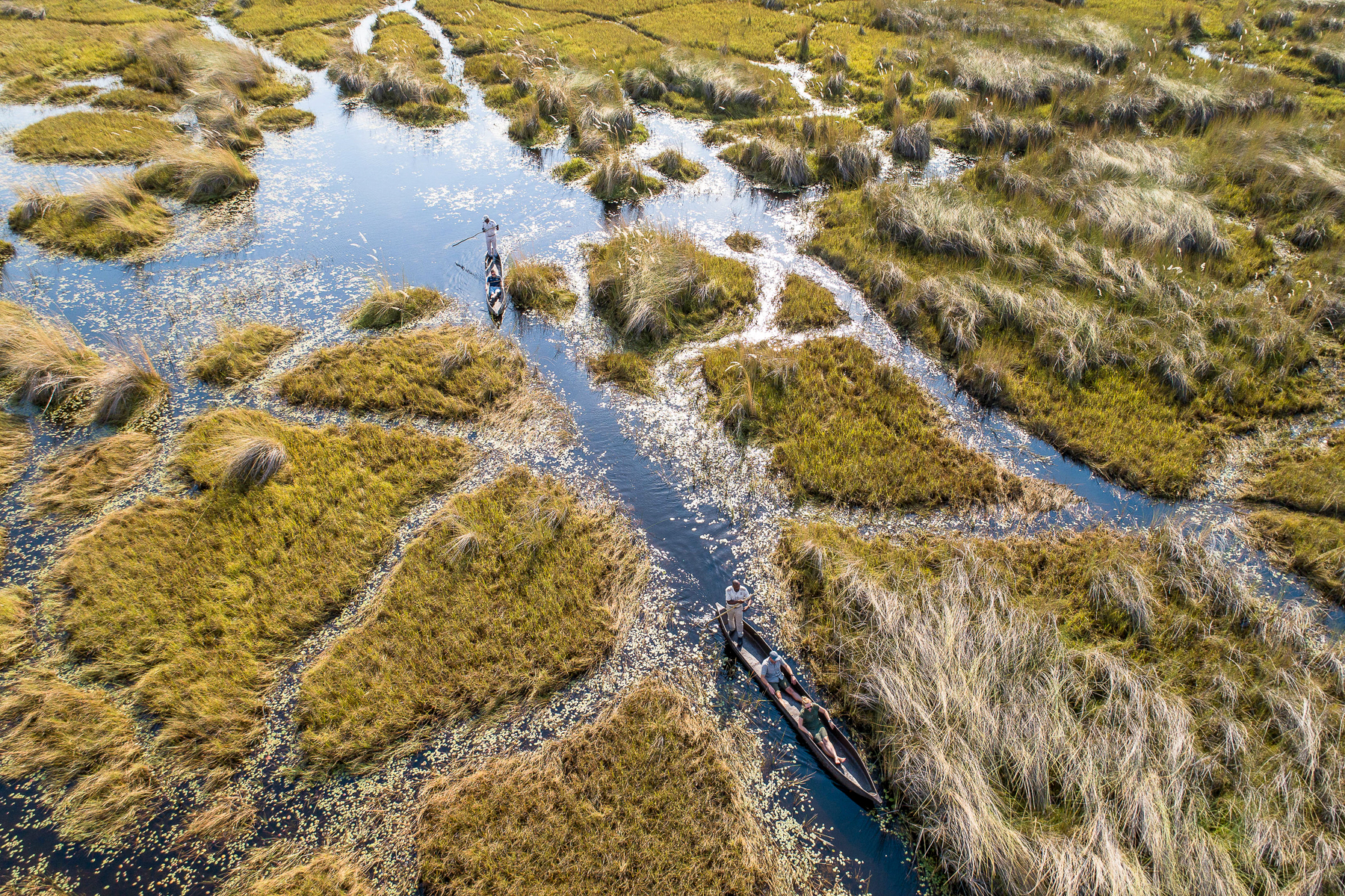 Aerial view of a mokoro cruise near Xugana Island Lodge in the Okavango Delta