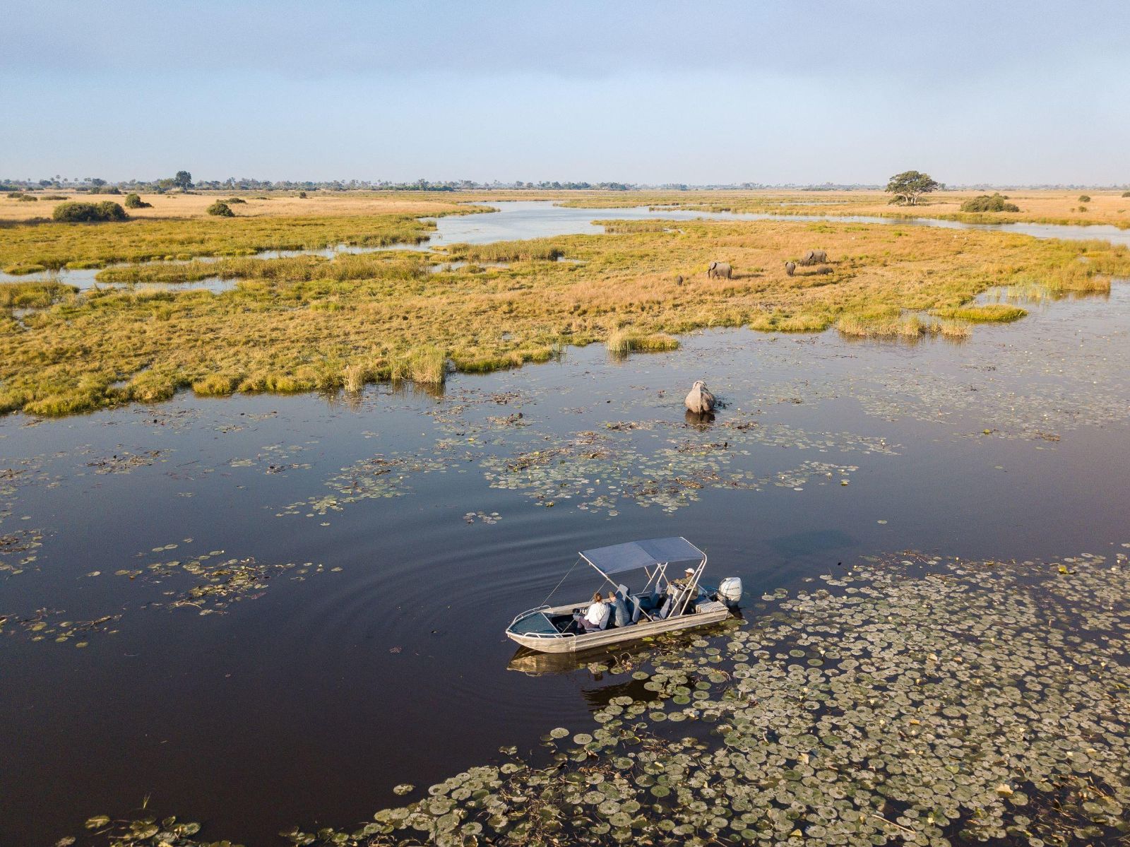 Elephants spotted on a river safari through the Selinda Reserve near Zafara Camp in Botswana