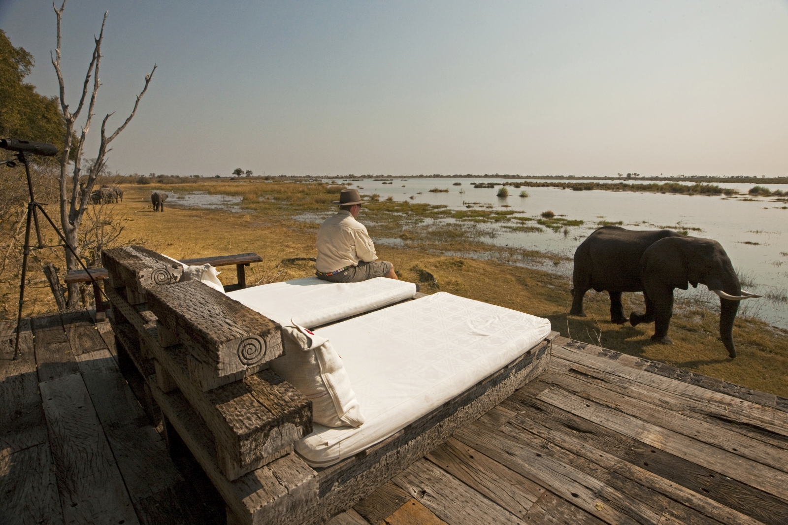 Elephants in front of deck with loungers at Zafara Camp