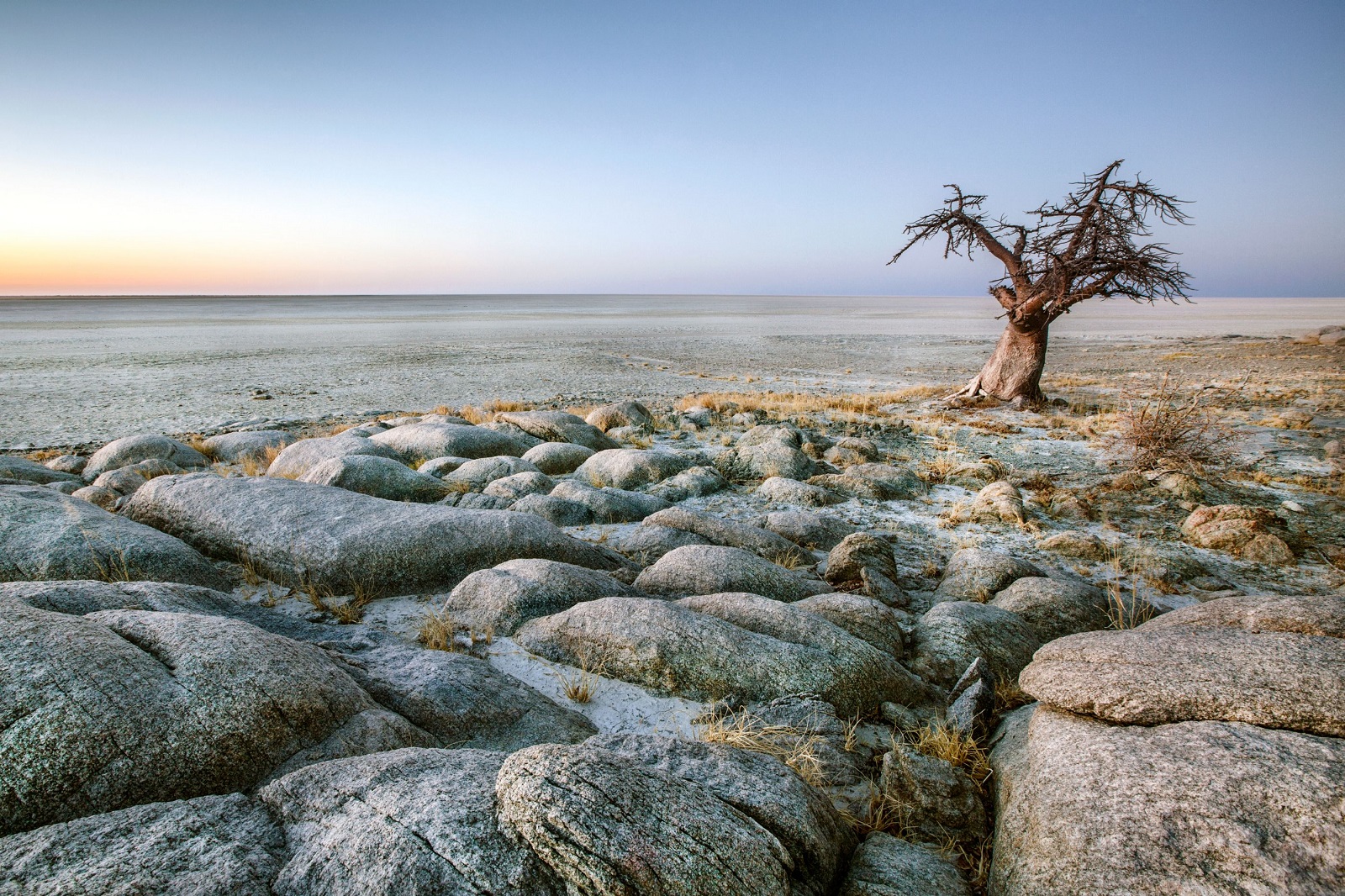 Image result for botswana
