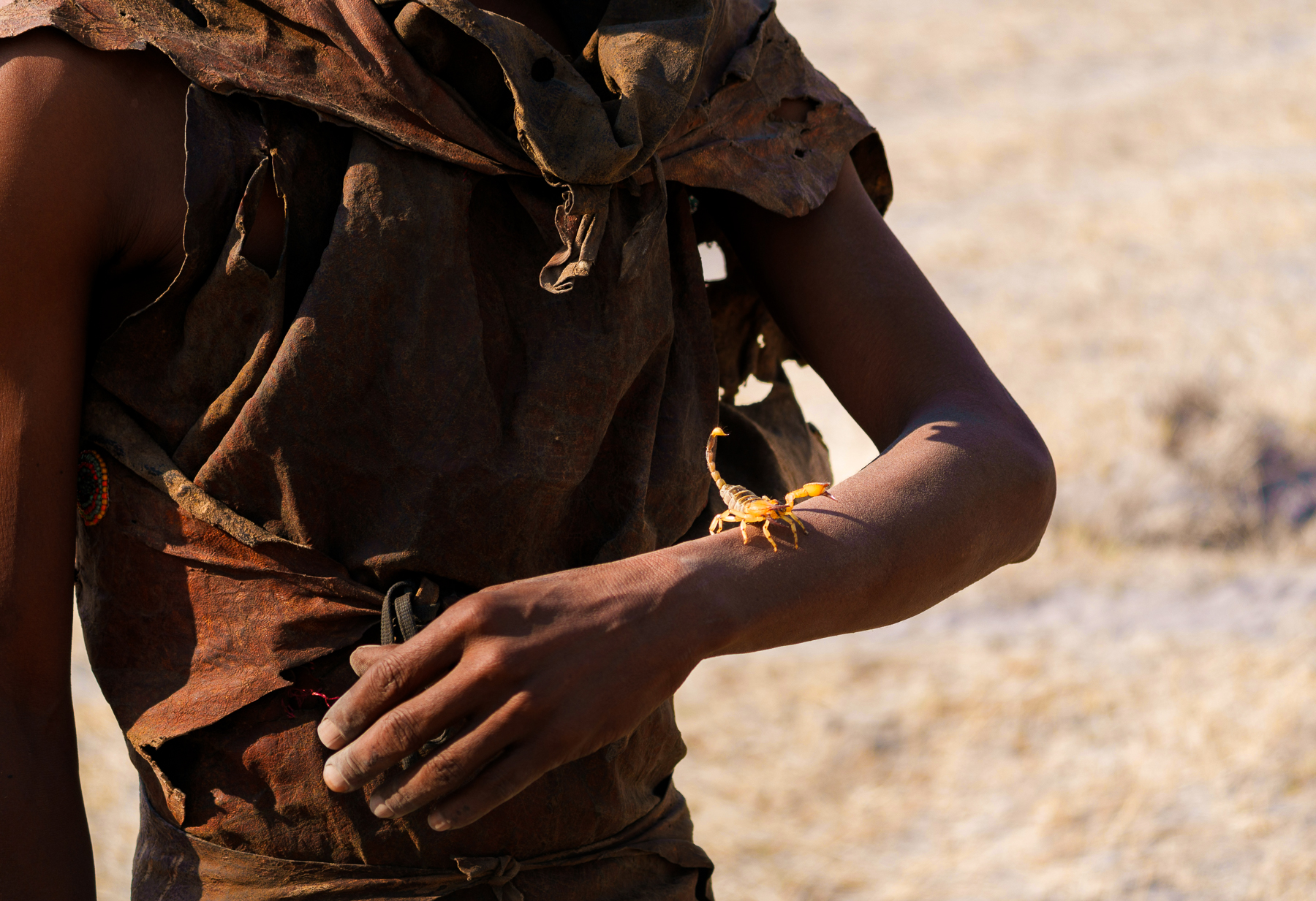 A Makgadikgadi bushman with a scorpion on his arm in Botswana