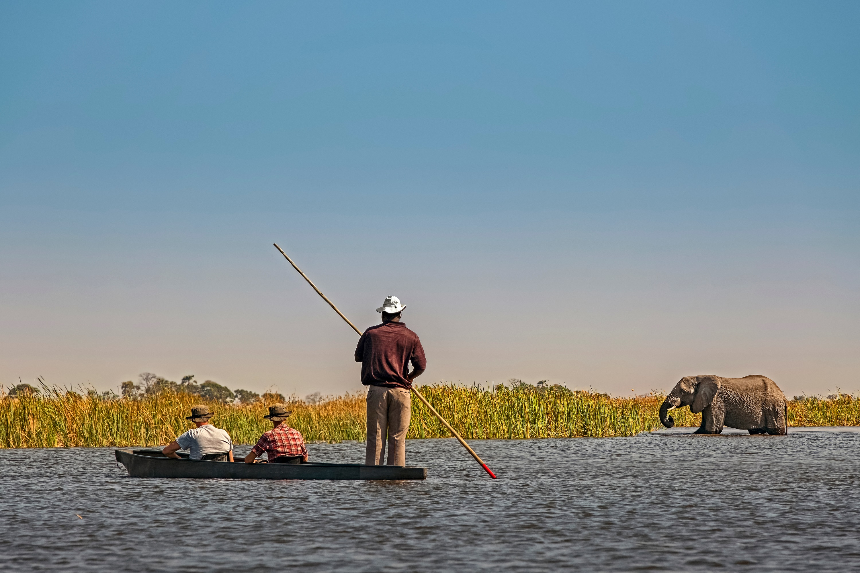 Mokoro at the Moremi Game Reserve 