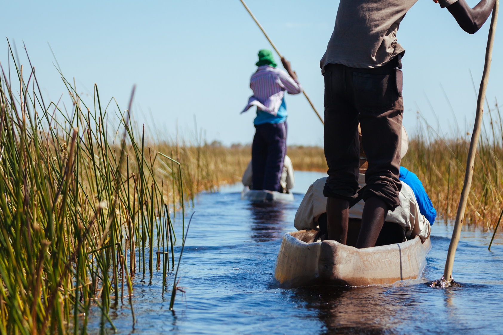 Exploring the Okavango Delta by Mokoro