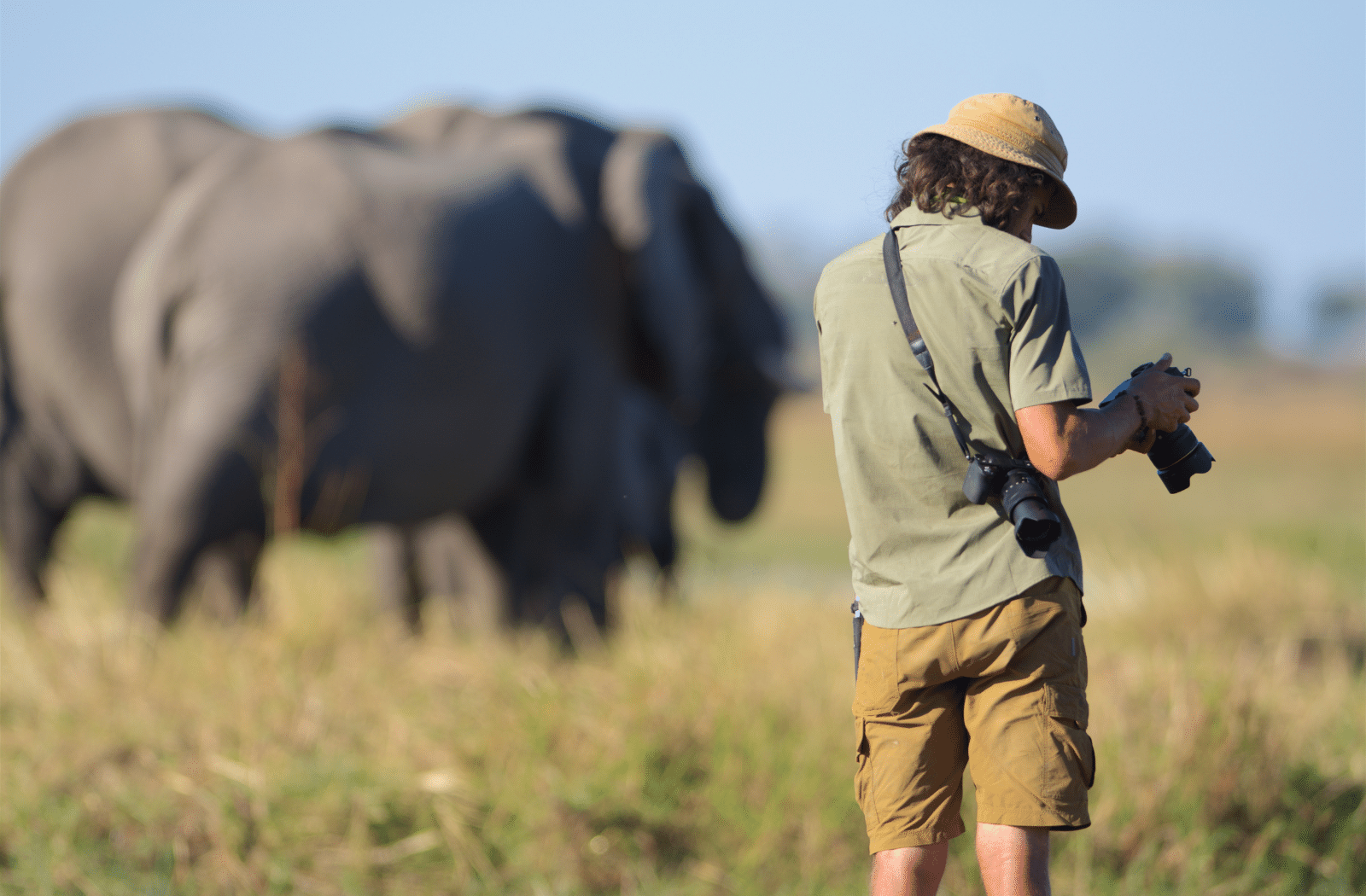 Photographing elephants in Botswana