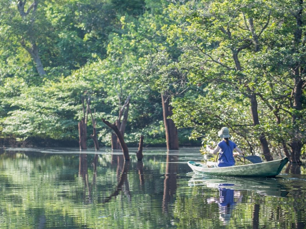 Canoe at Anavilhanas Lodge in Brazil