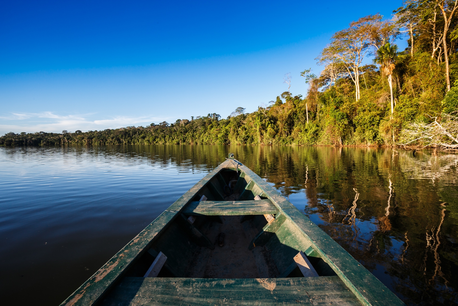 The amazon jungle in Brazil