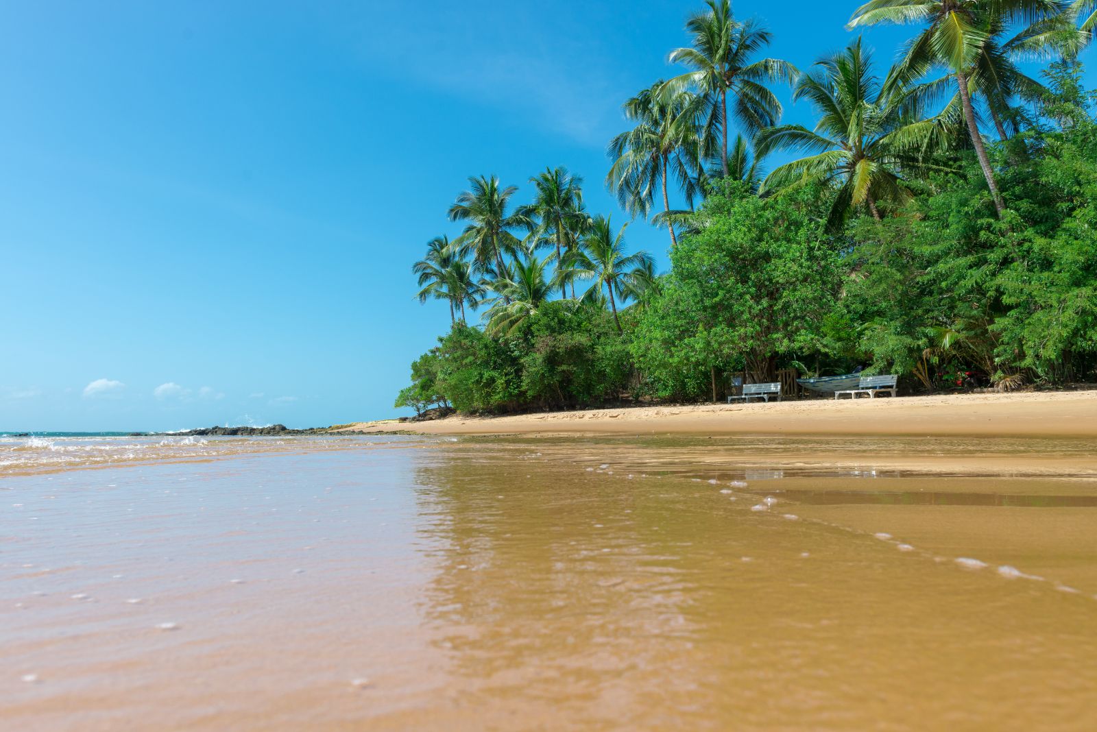 Crystal clear waters and green palm trees at Mara Peninsula, Brazil