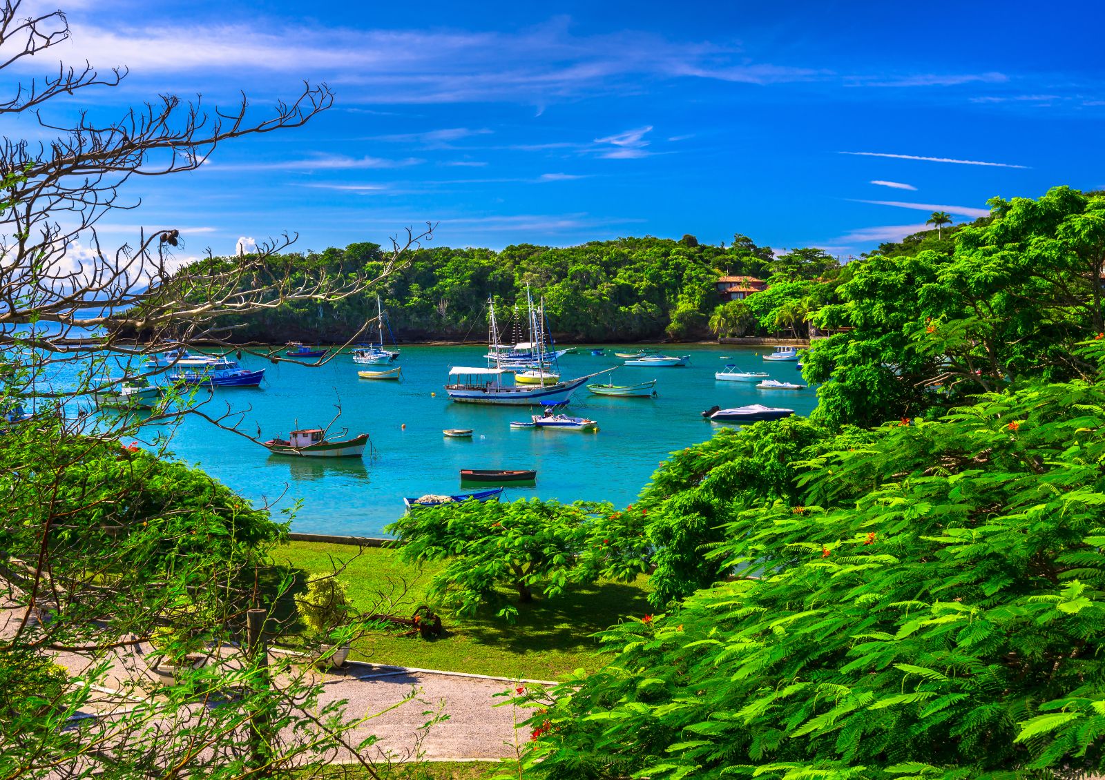 View of boats moored in Buzios, Brazil