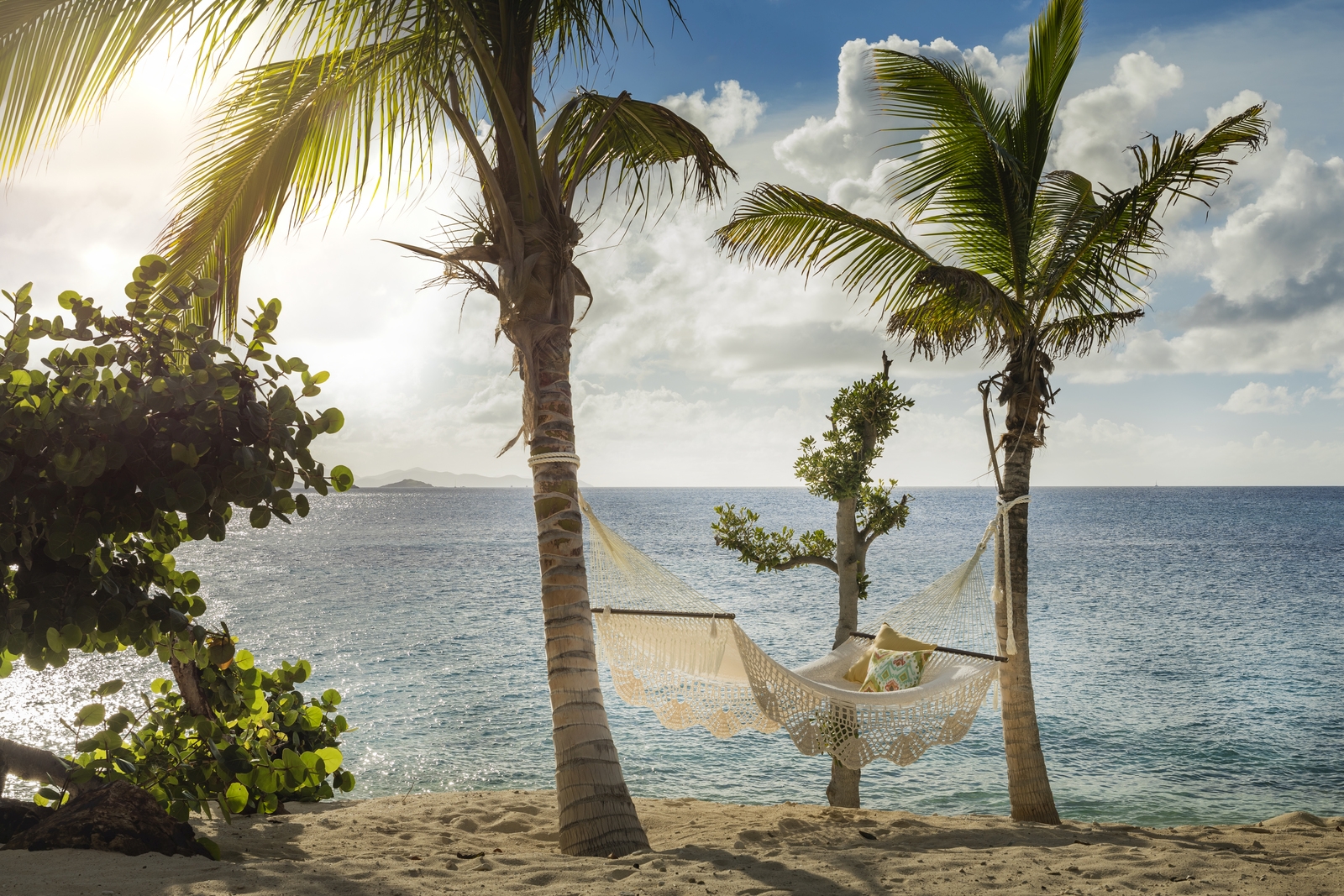 Hammock between two palms on the beach