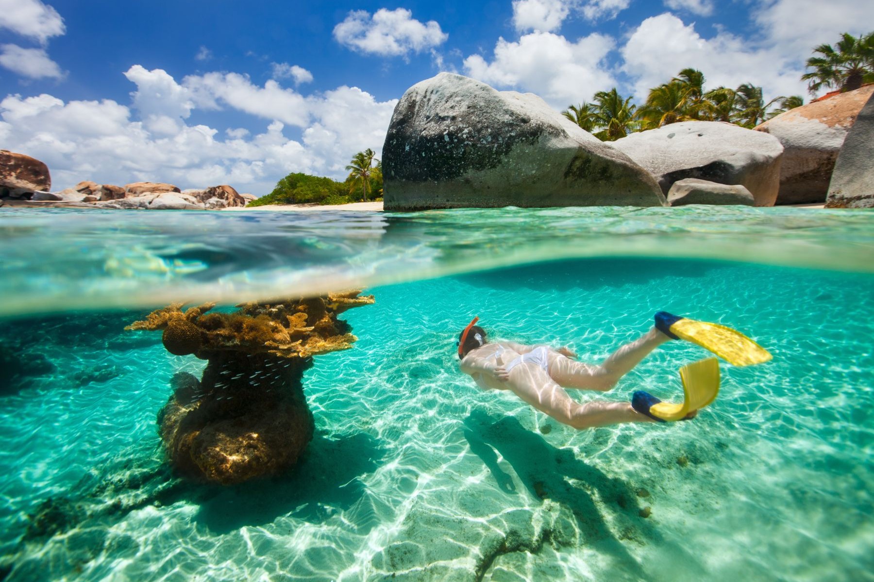 Snorkelling at the British Virgin Islands