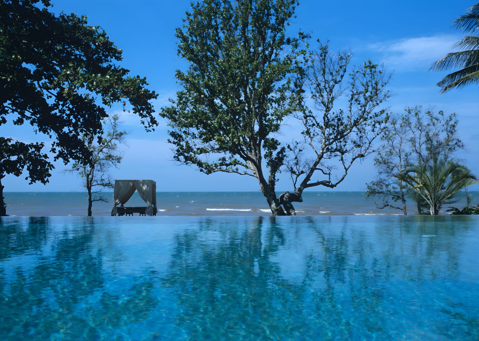 Infinity pool with beach views at Knai Bang Chatt resort in Cambodia