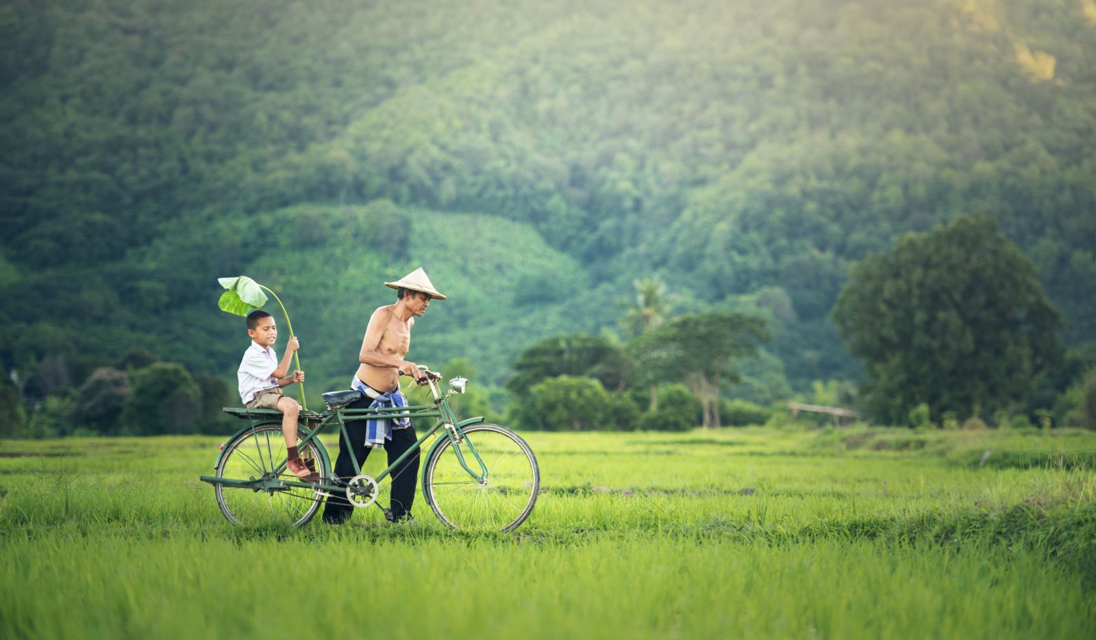 Father and child cycling through rice fields in rural Cambodia