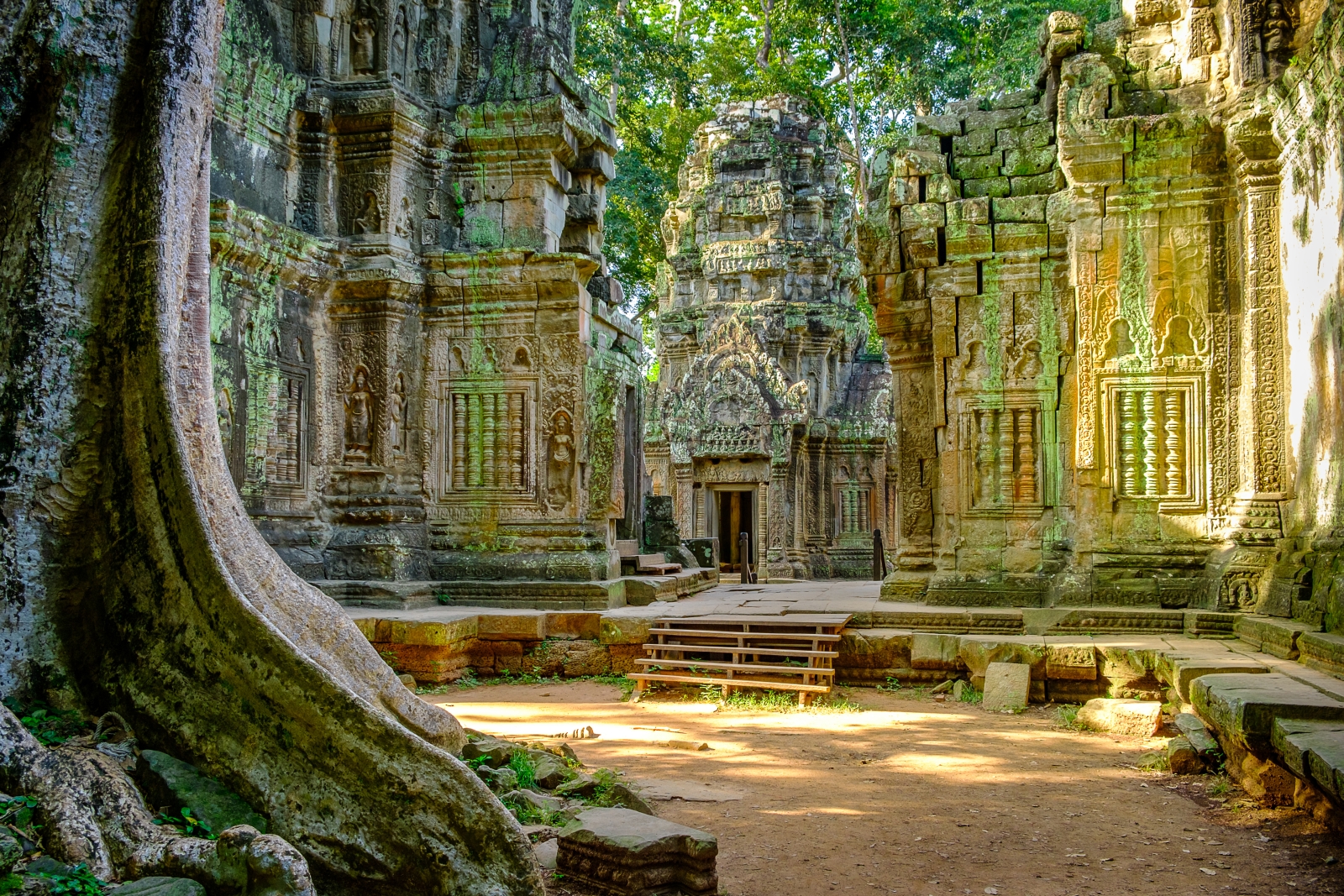 View of old temple with large trees and sunlight creating shadows