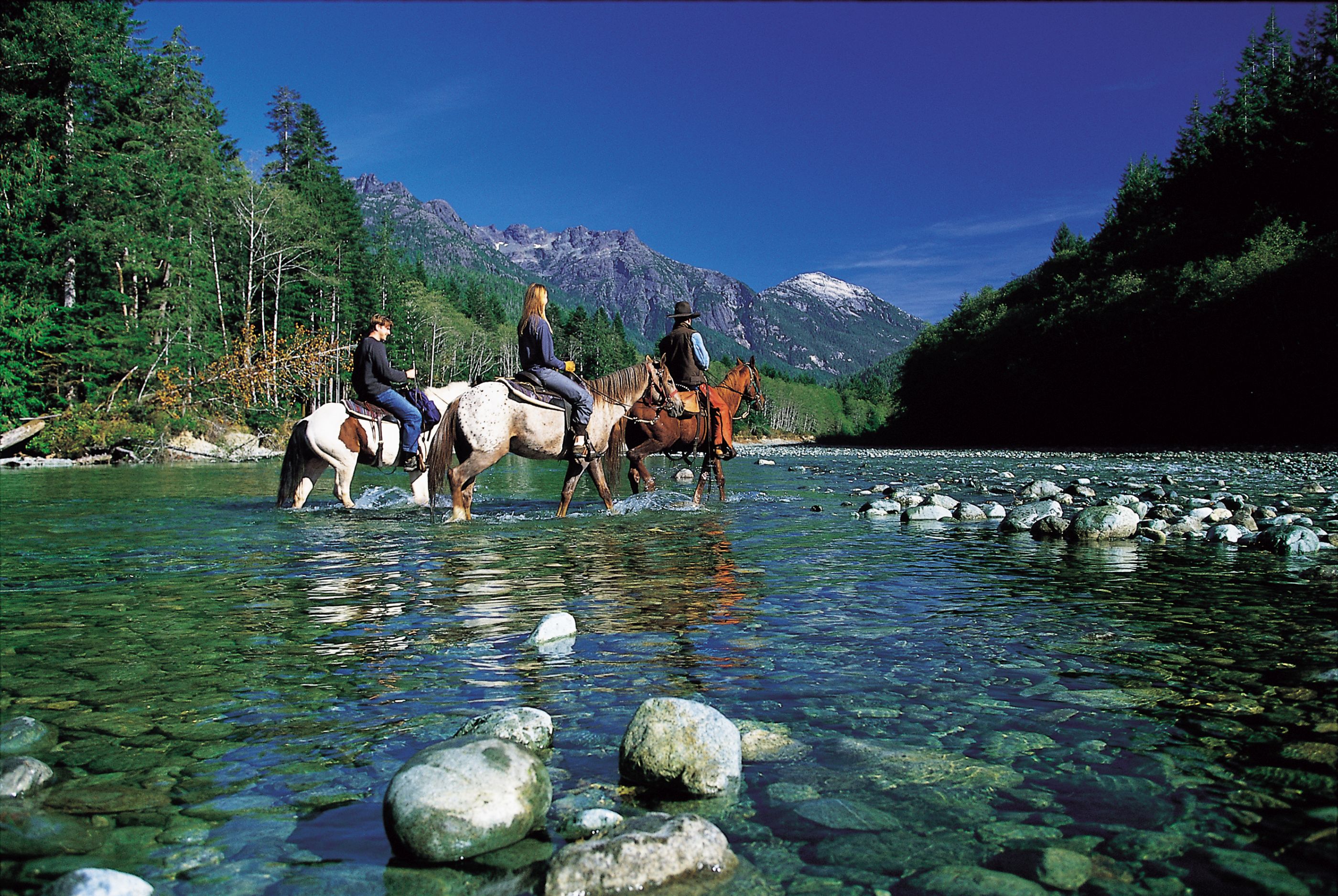 horse riding in river near Clayoquot Wilderness Resort, canada