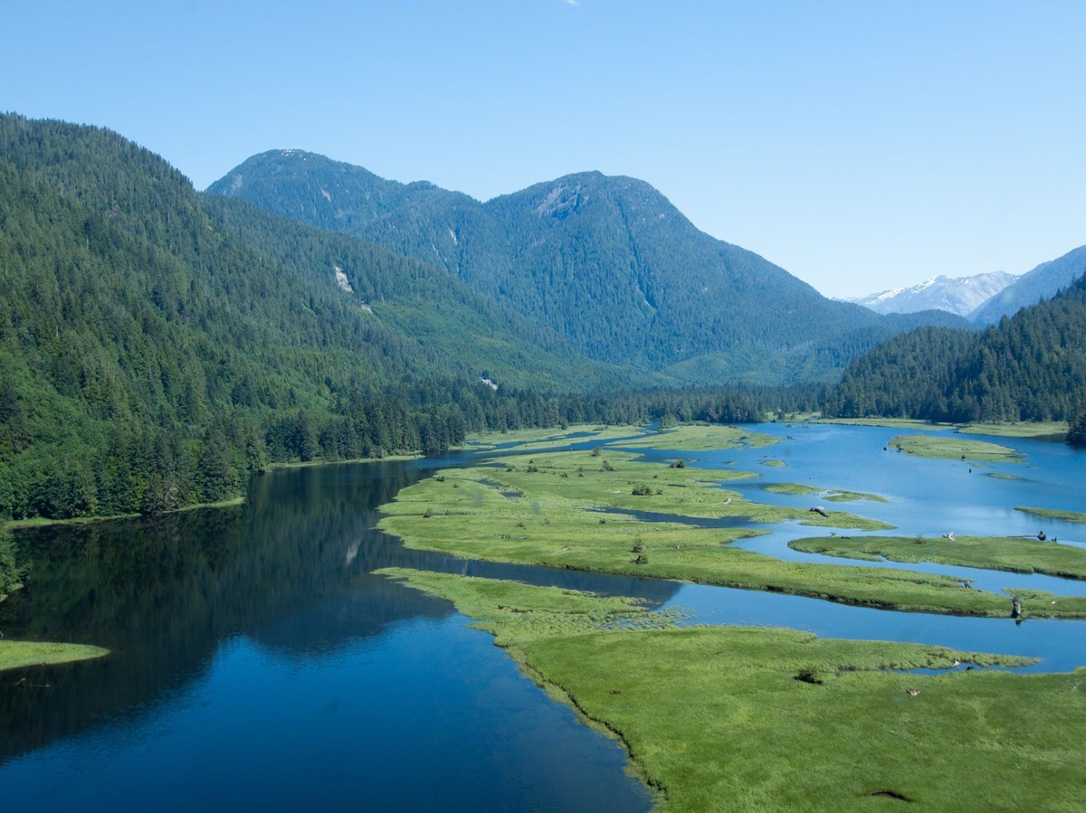 Great Bear Rainforest near the Great Bear Lodge, Canada