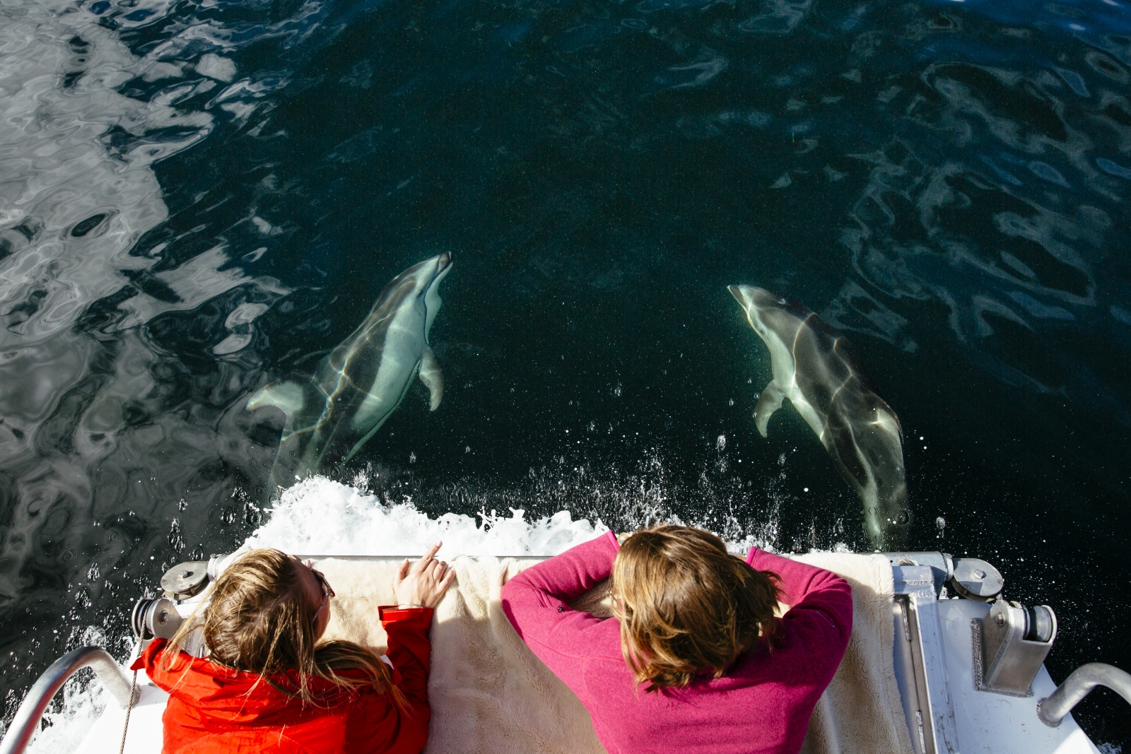 Two children look at two dolphins from above on a boat