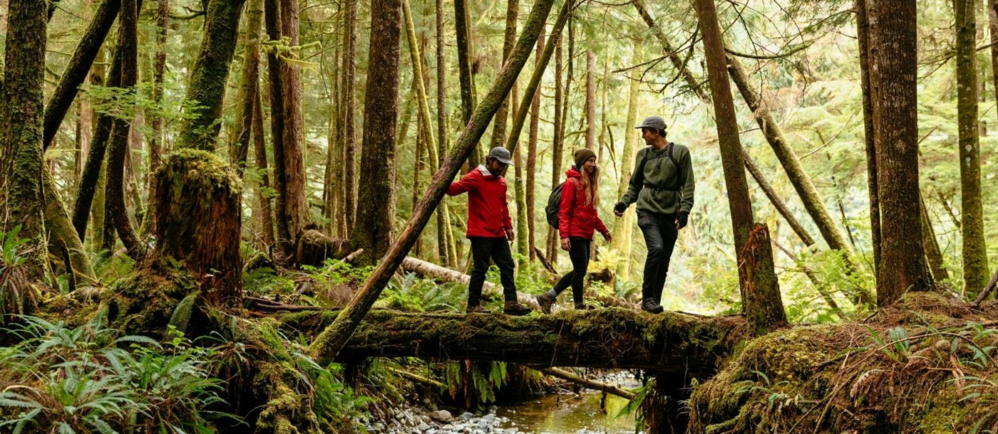 Three guests out on a hike through the lush green forest near luxury hotel Nimmo Bay in Canada