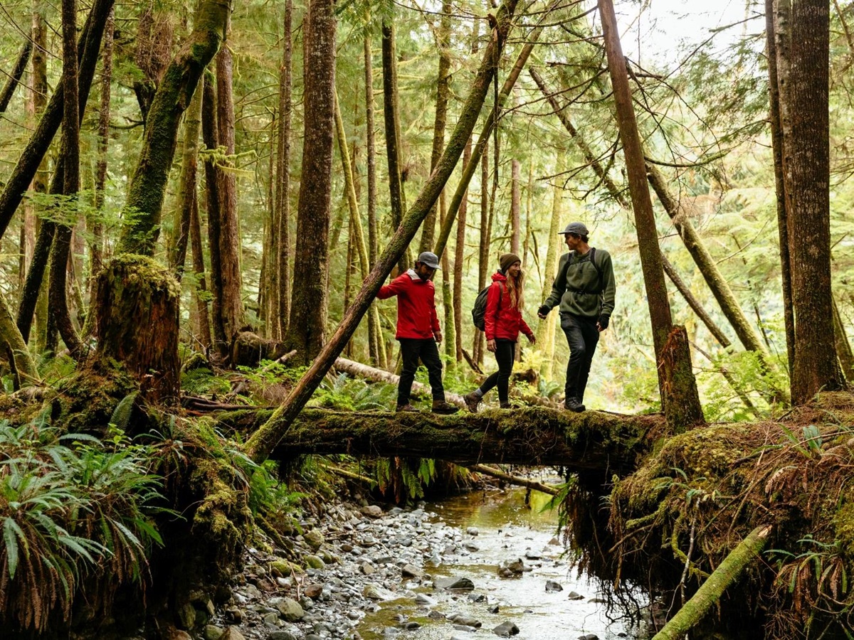 Three guests out on a hike through the lush green forest near luxury hotel Nimmo Bay in Canada